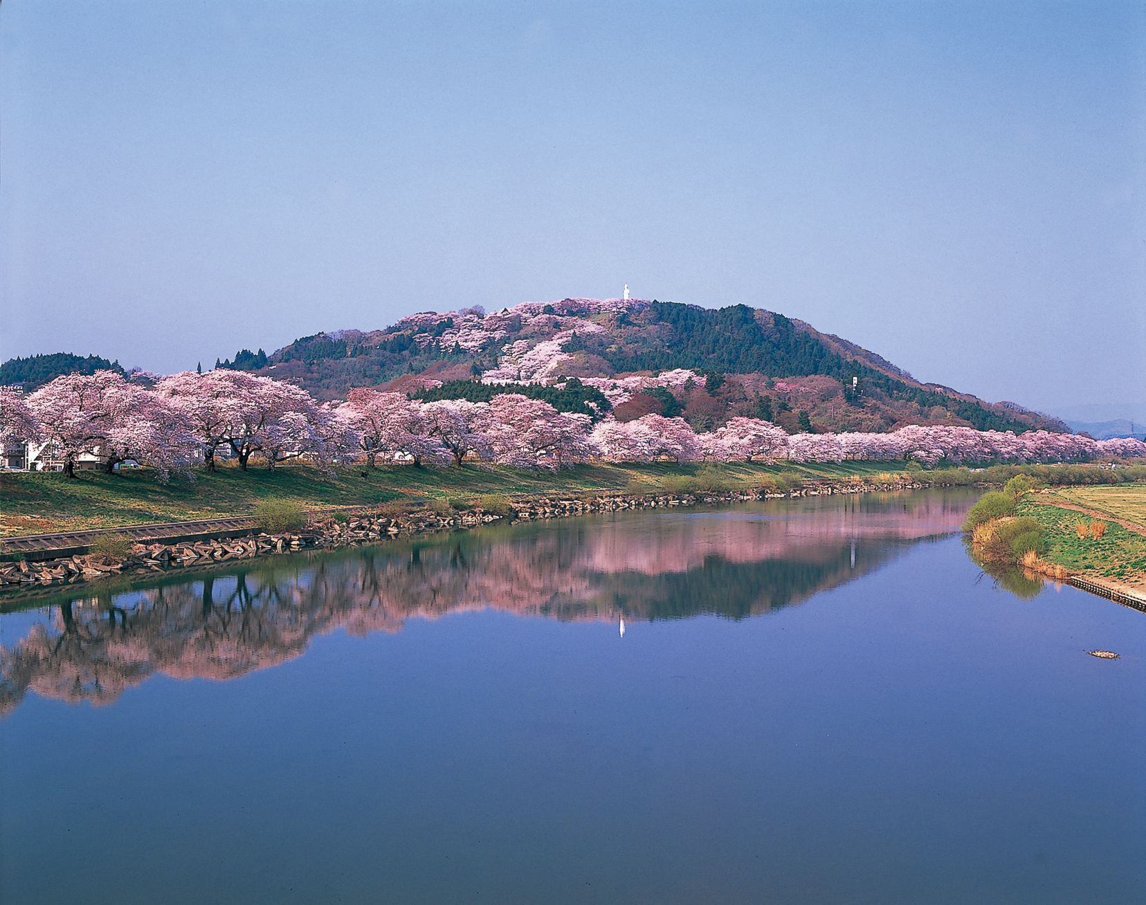 船岡城址公園02.jpg