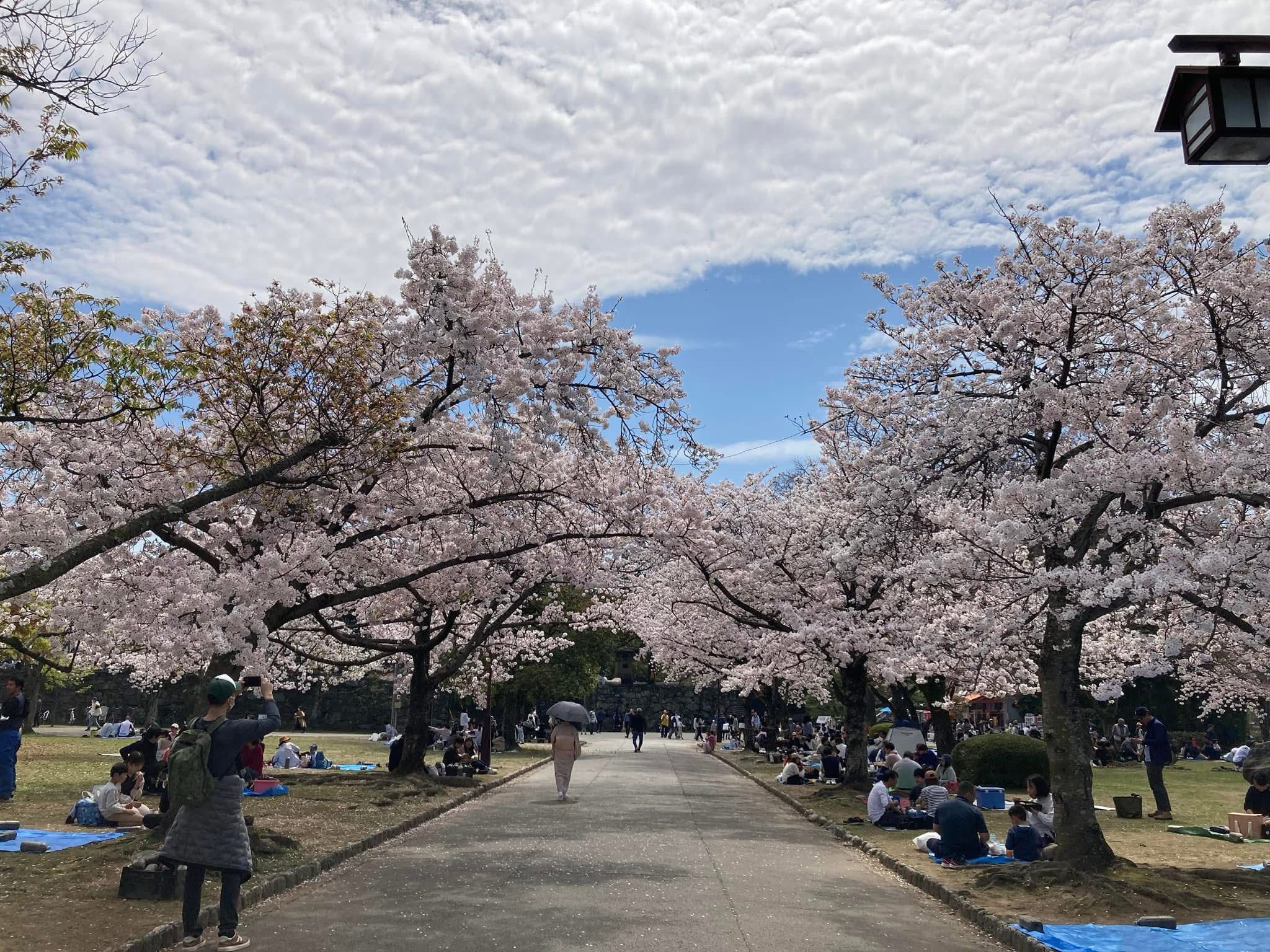 中央公園03.jpg