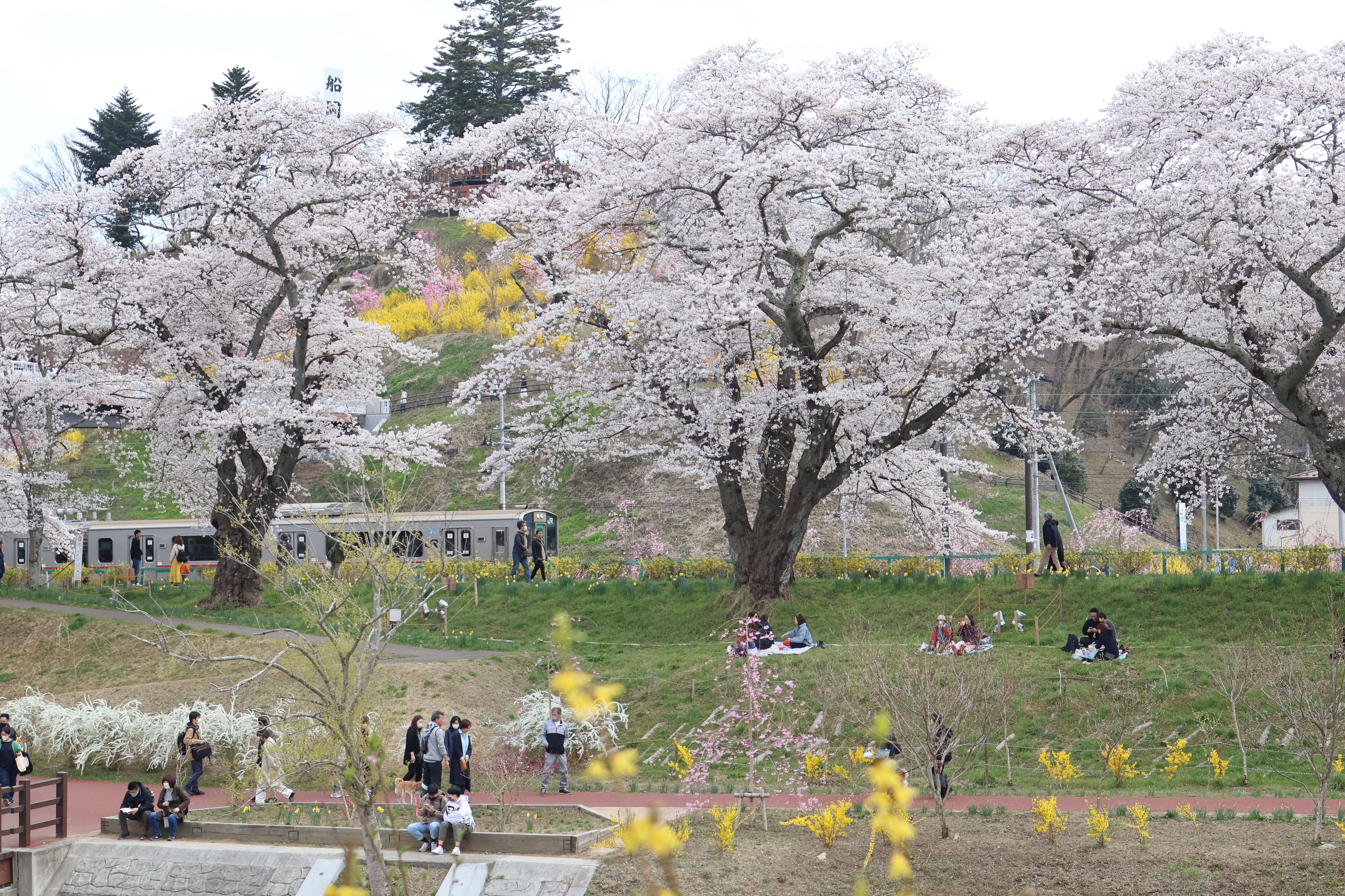 白石川河川敷公園03.jpg