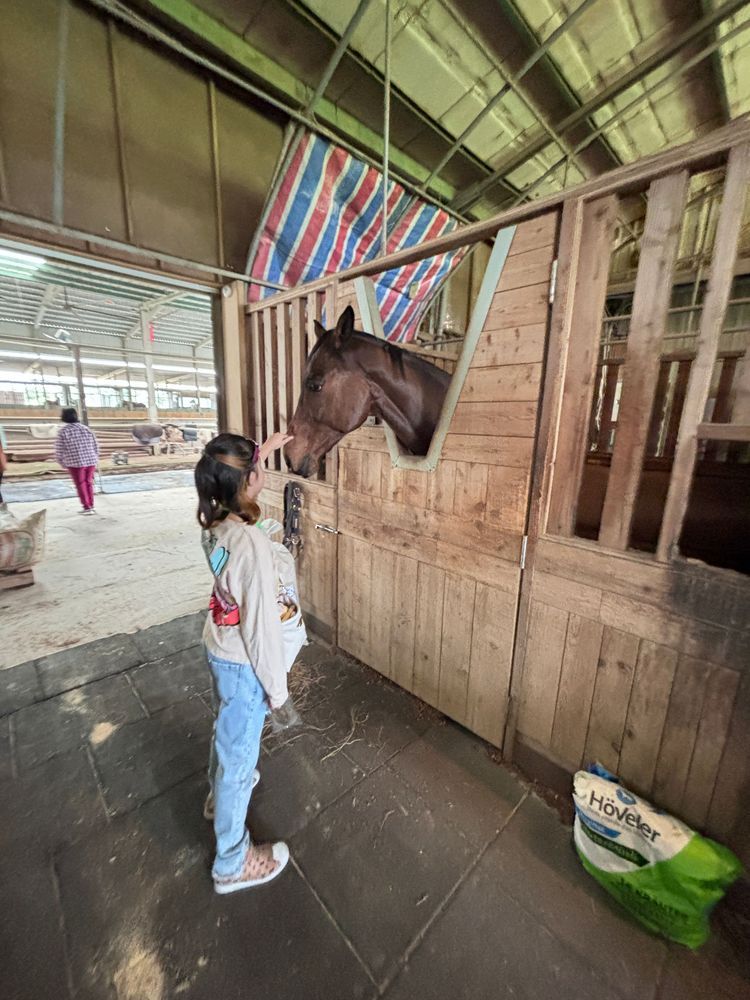 台北親子樂森林騎馬 淡水新竹有得玩