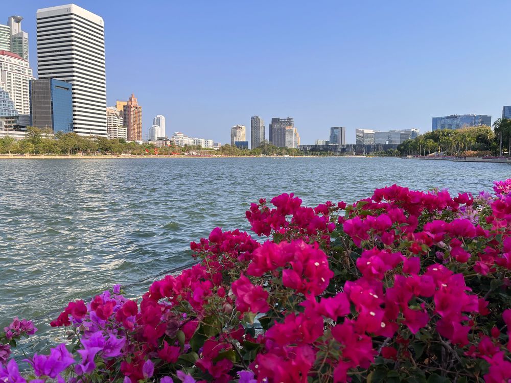 曼谷市中心的森林公園班嘉奇蒂 空中步道生態池溏舊倉庫成打卡點