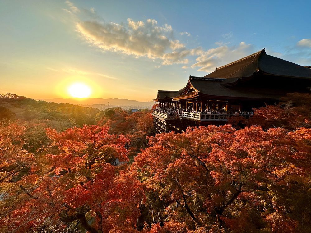 夕陽斜照京都 滿眼處處是紅葉