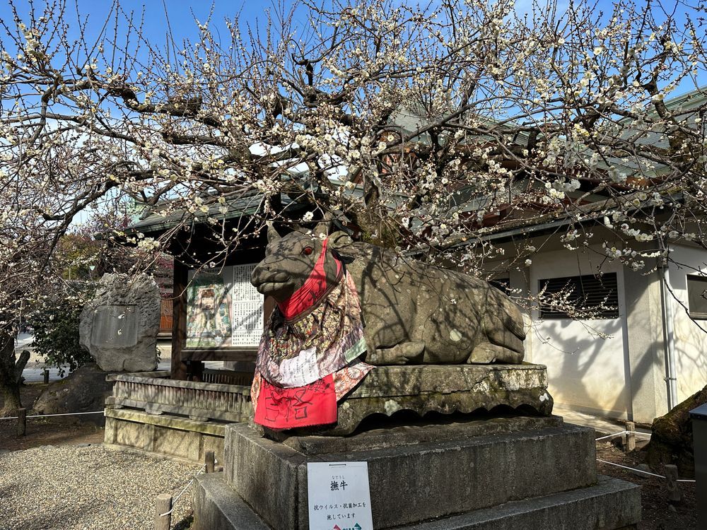 京都神社巡禮 5大必訪特色神社！教你神社正確參拜方法