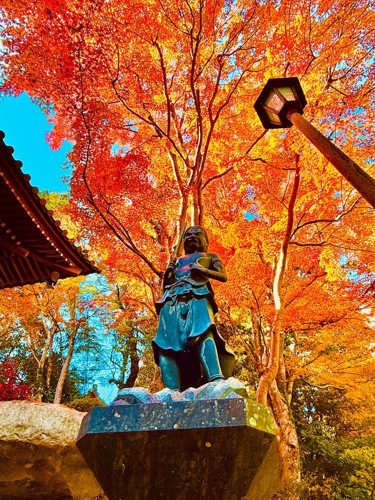 東京最旬賞楓時期已到！高尾山一日遊