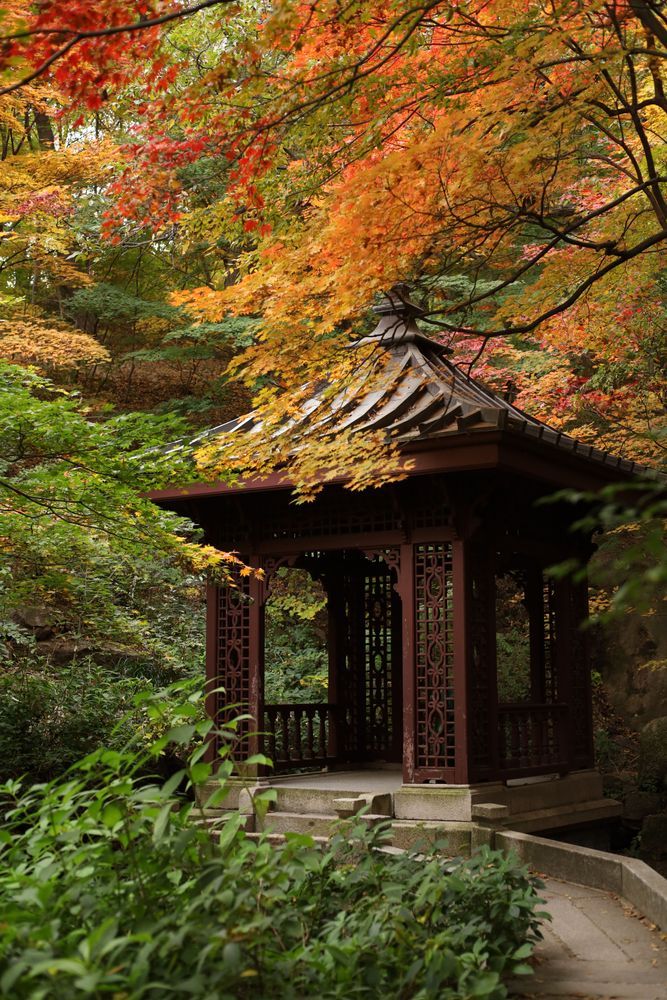 紅葉季開鑼！首爾賞楓秘景