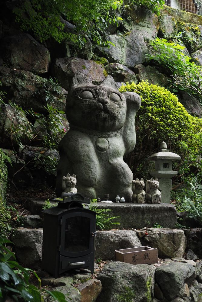 日本三大怪貓傳說！德島隱世神社睇過萬隻招財貓