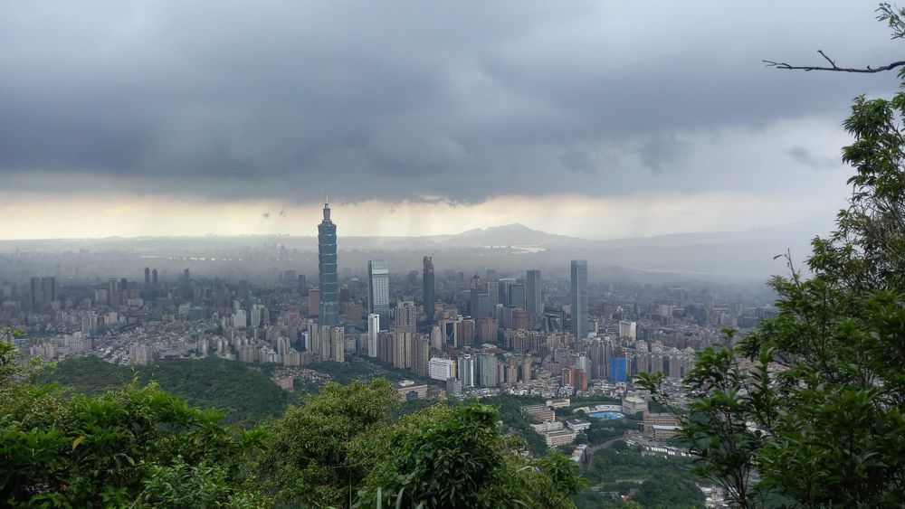 台北之虎山步道 信義區零距離的森林美景 遠眺101賞國寶級台灣藍鵲