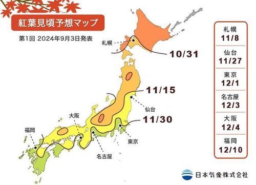 2024 日本賞楓預測 追楓全攻略