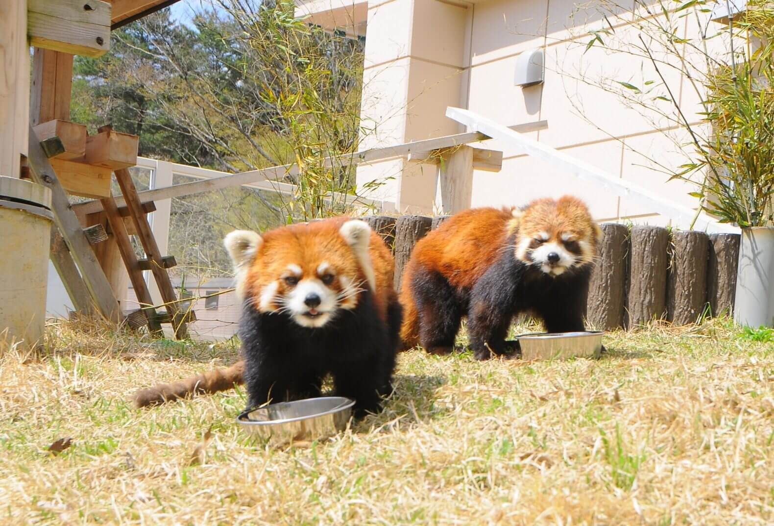 福知山動物園002.jpg