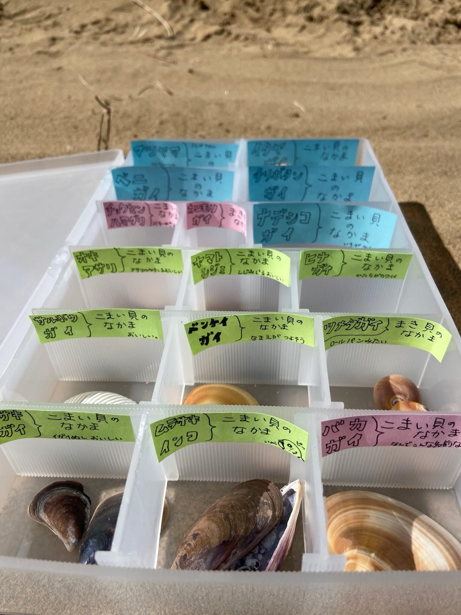 山蔭海岸國立公園_鳥取砂丘_002.jpg