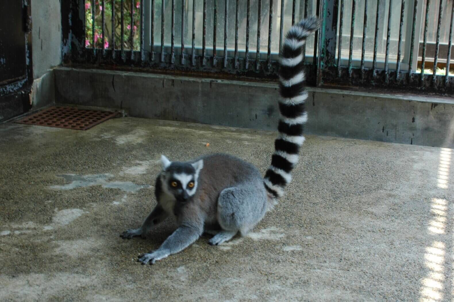 福知山動物園003.jpg