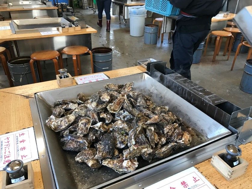 015松島蠔肉嫩清爽之餘，還帶淡淡海水鹹味，眼前的燒蠔山一定令你心滿意足。.jpeg