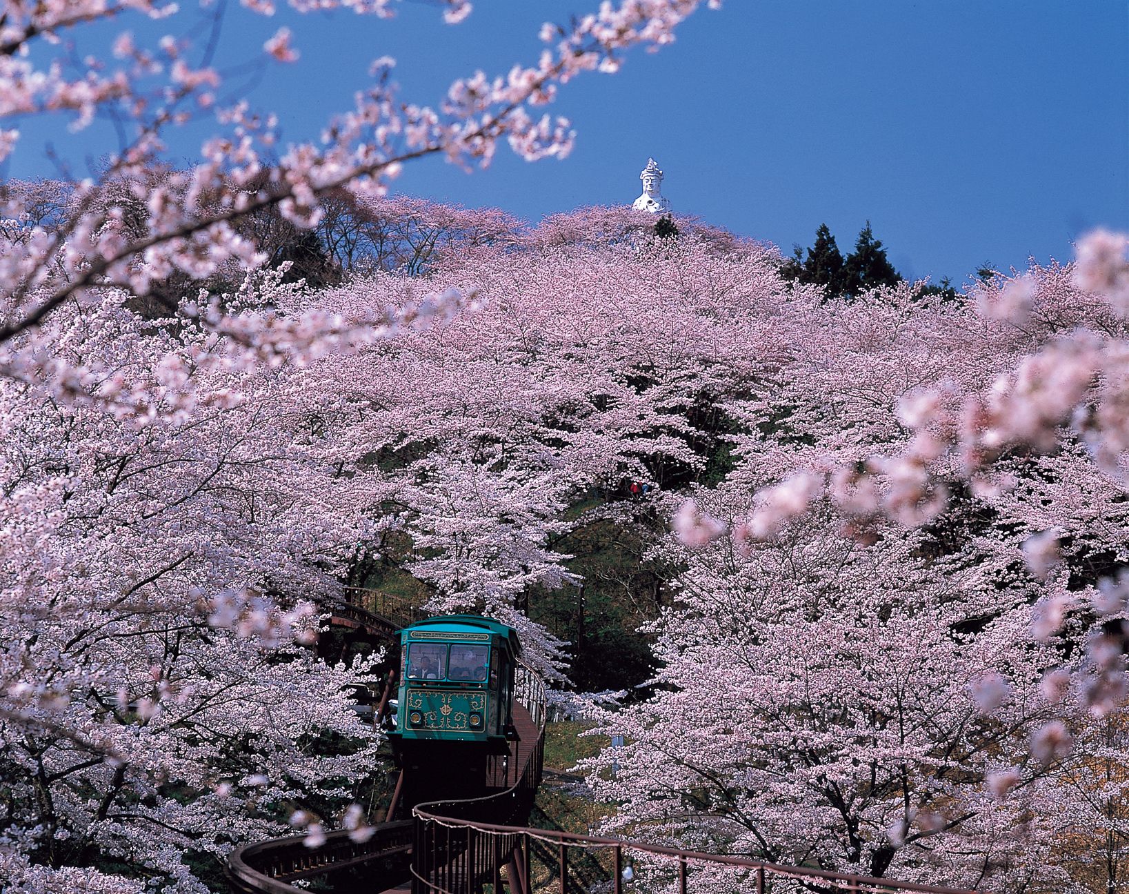 船岡城址公園01.jpg