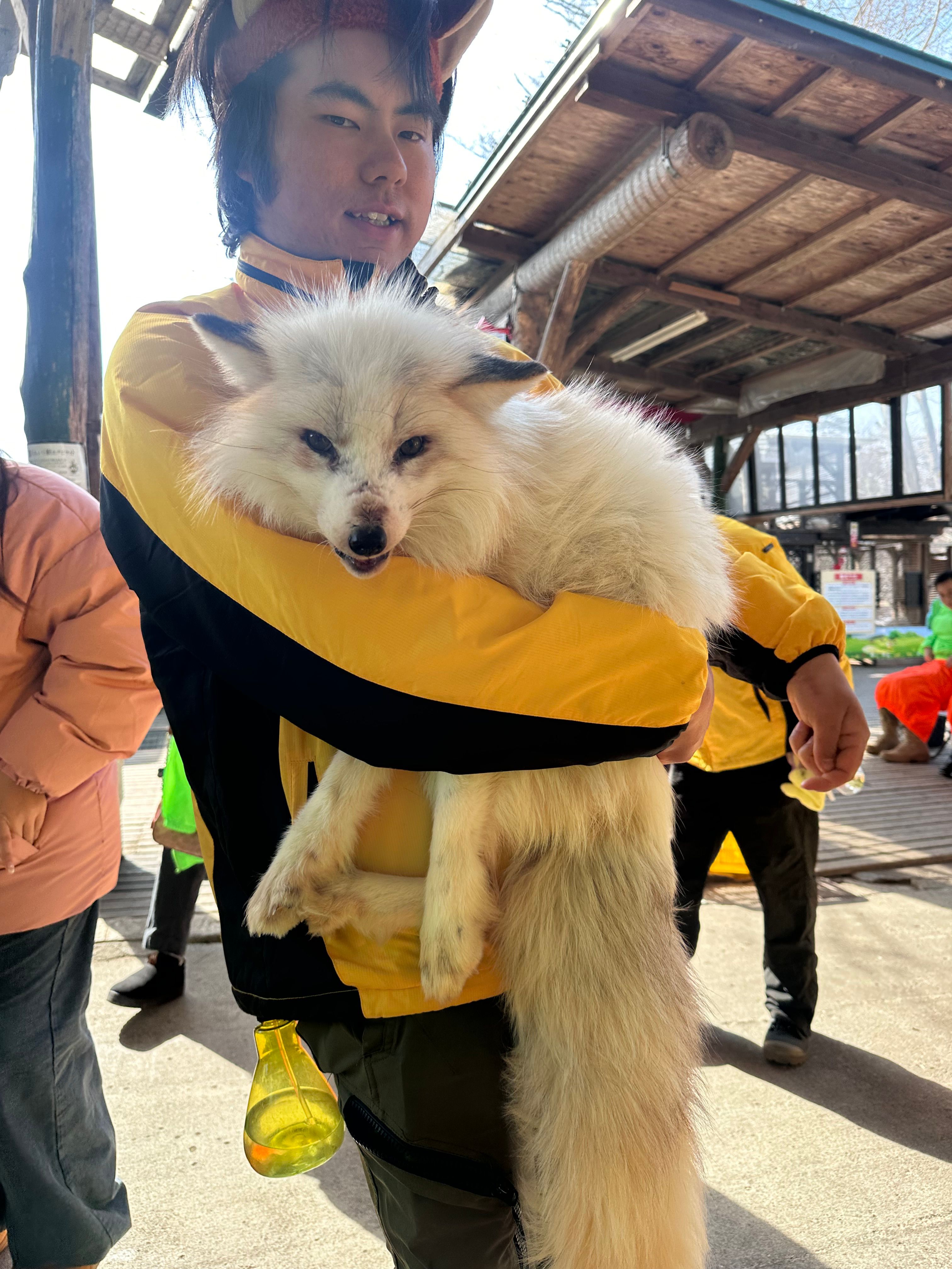 狐狸村01.jpg