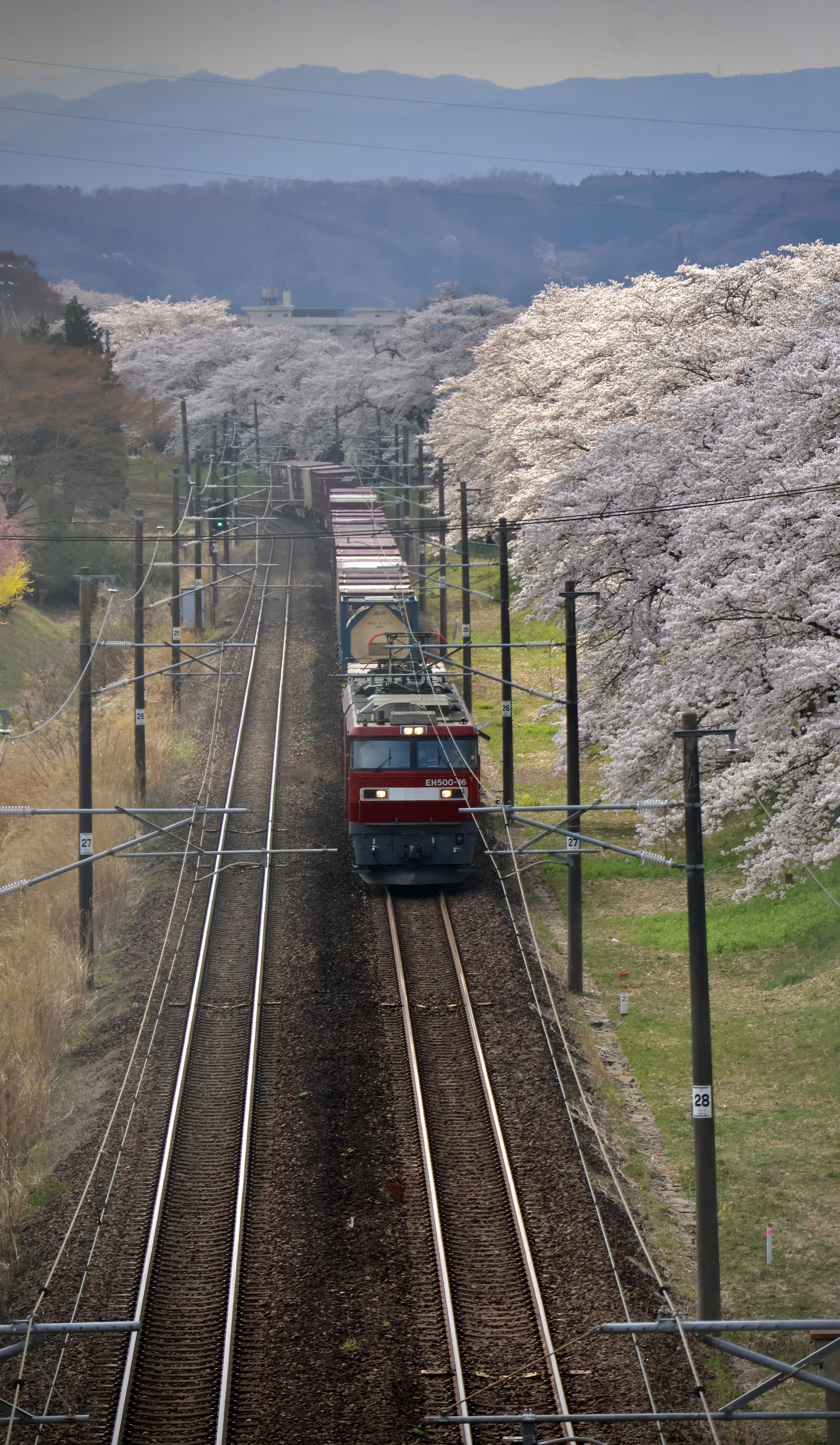 白石川河川敷公園02.jpg