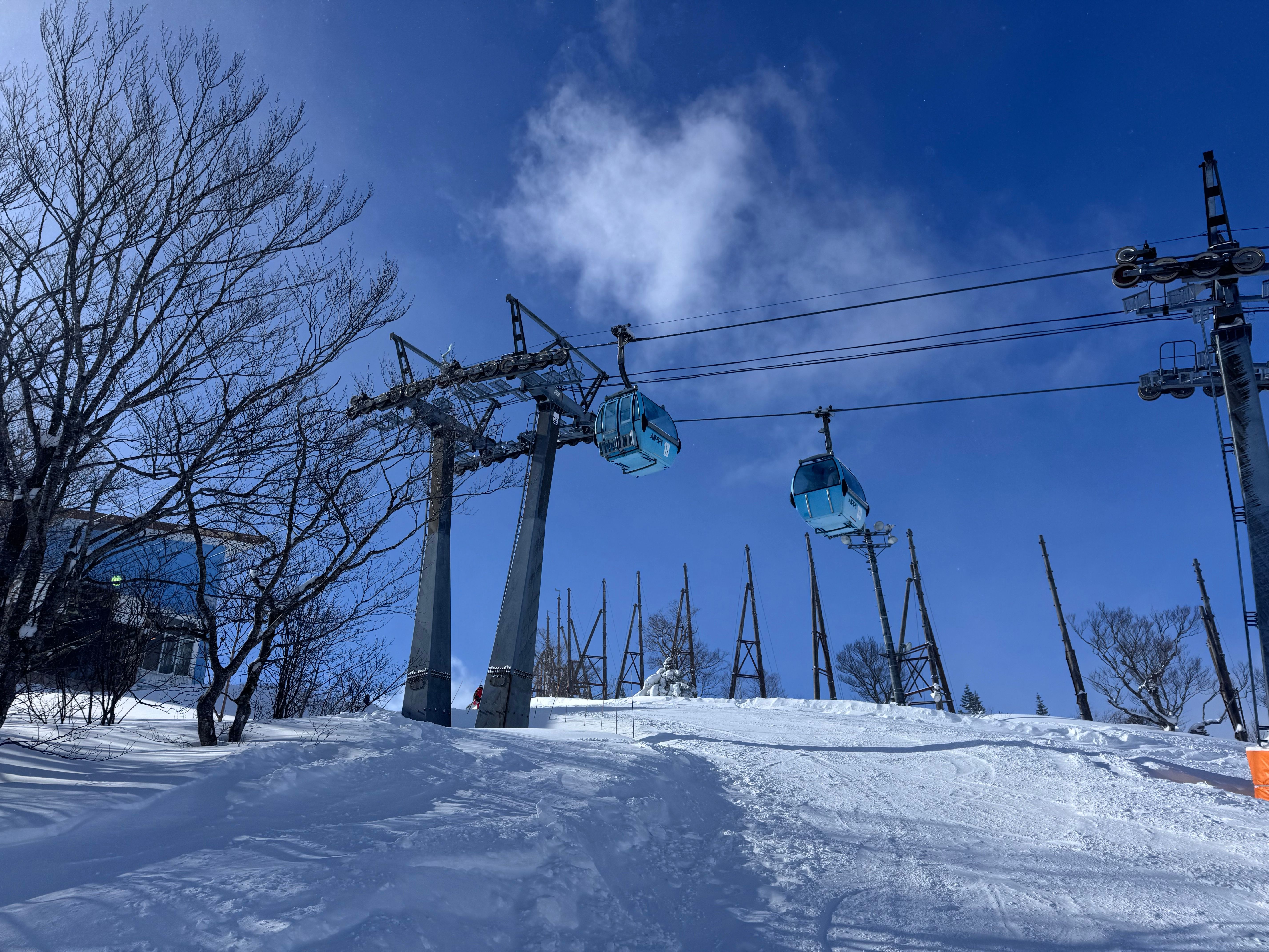 04 山頂海拔高達1300米,放晴時間不多,小篇真是好彩.jpeg