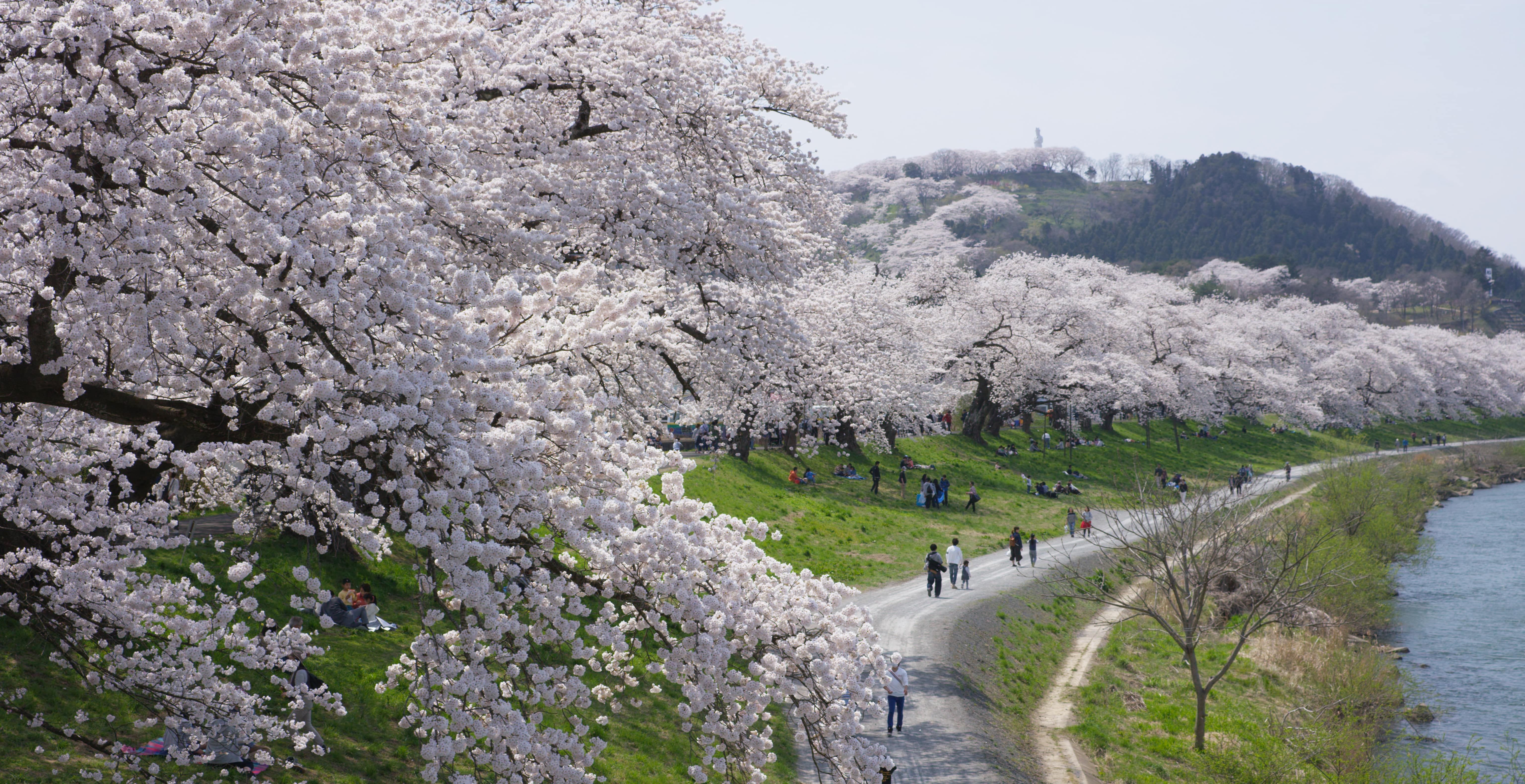 船岡城址公園06.jpg