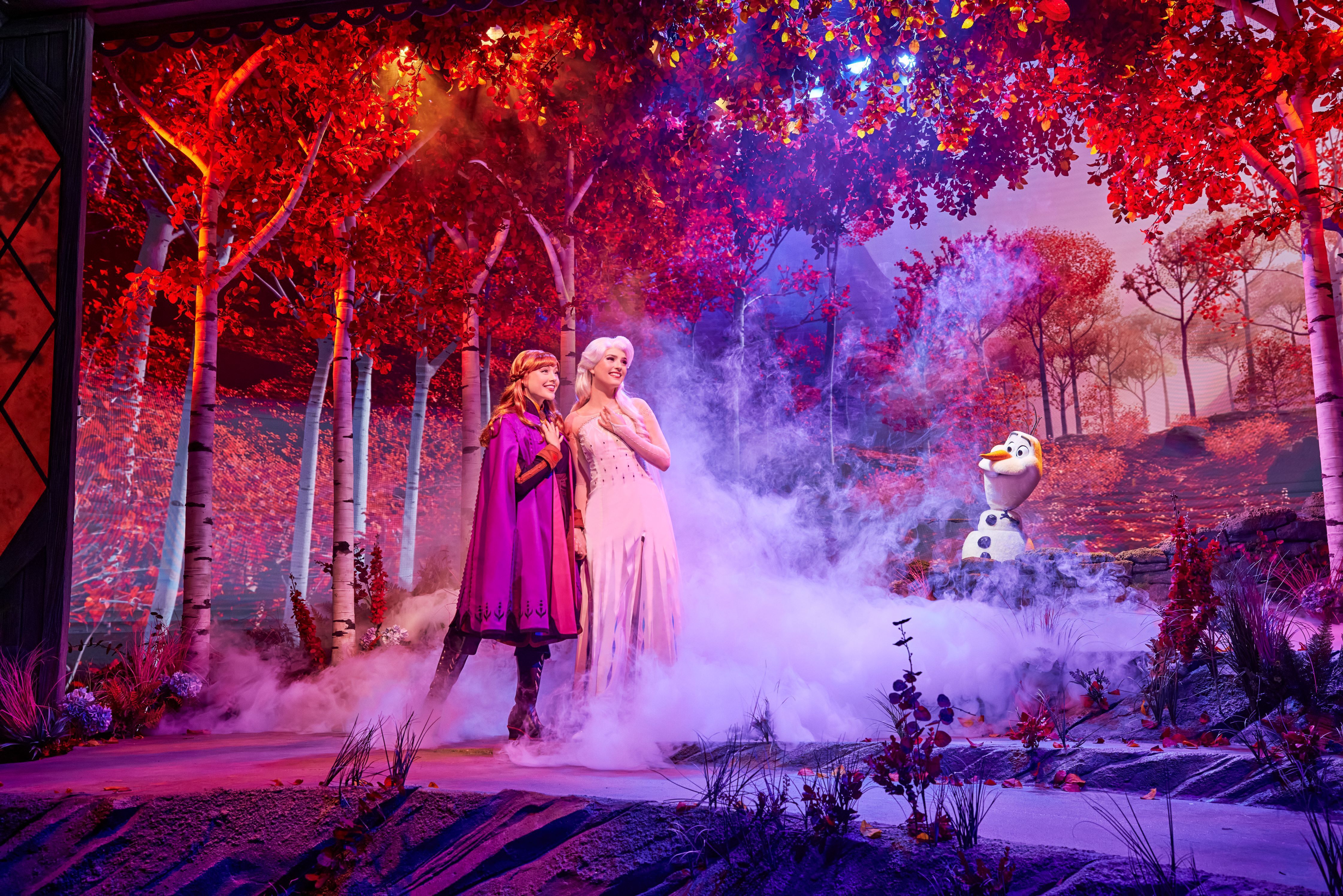 14_HKDL_World of Frozen_Playhouse in the Woods_1.jpg