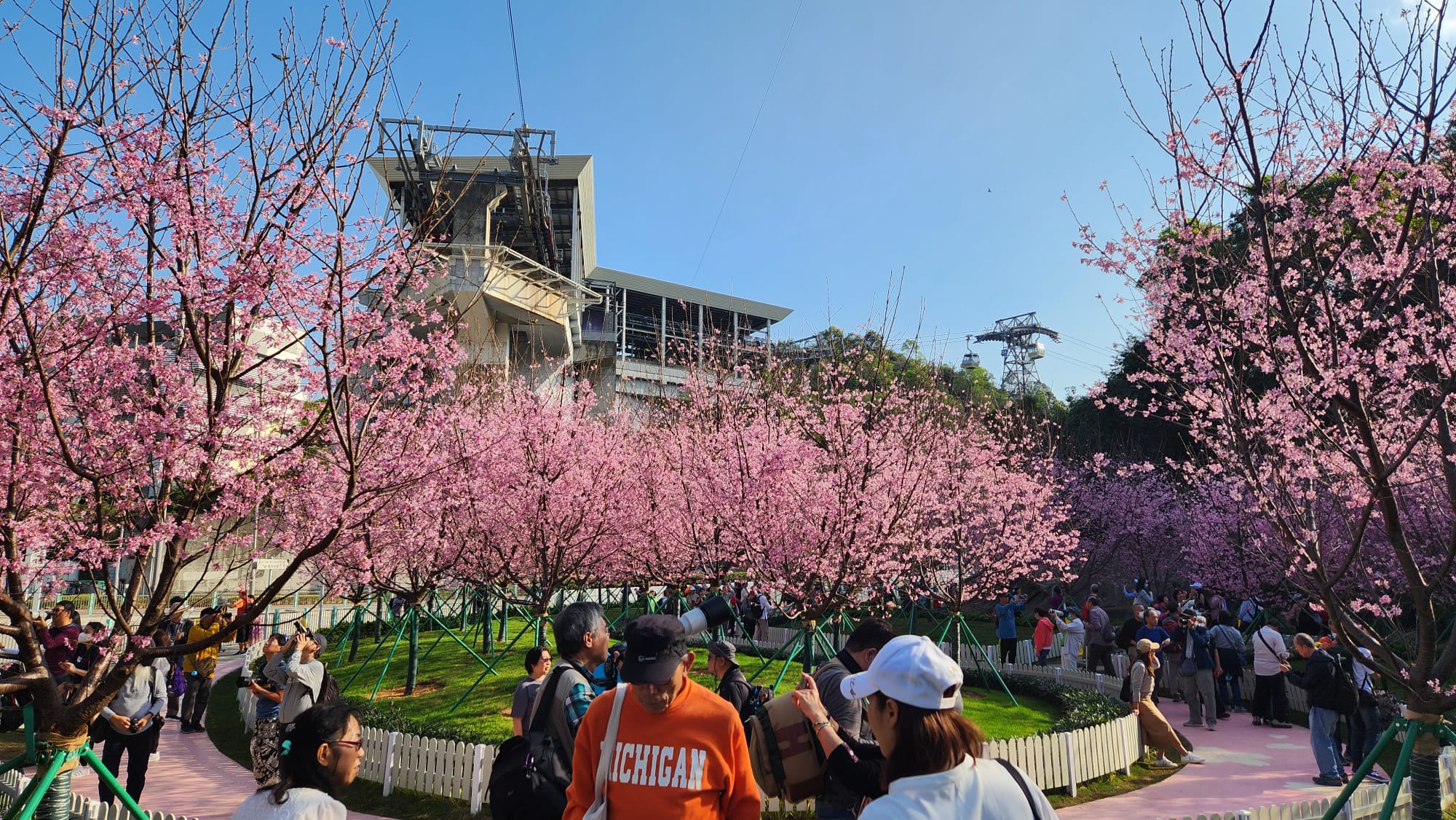 東涌櫻花園16.jpeg