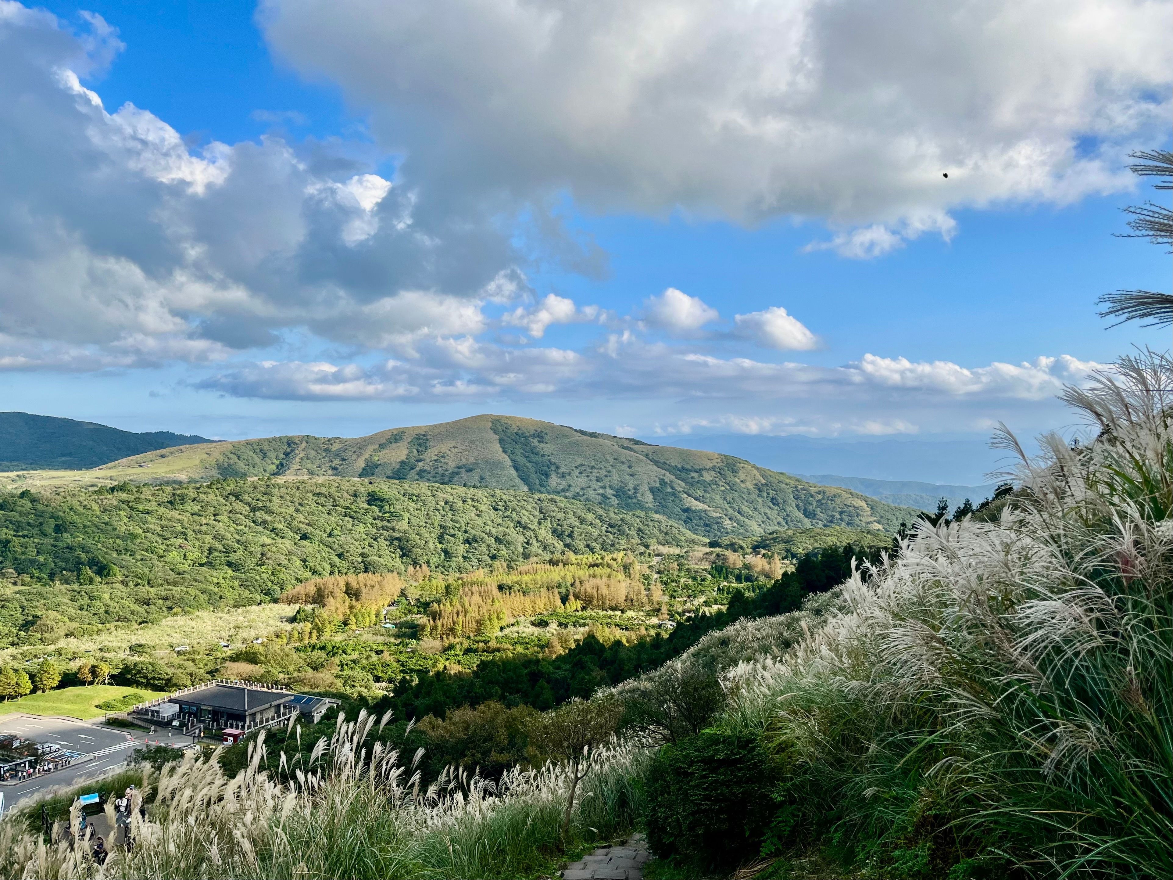 1 漫山遍野都是銀白色的芒草，美不勝收。.jpg