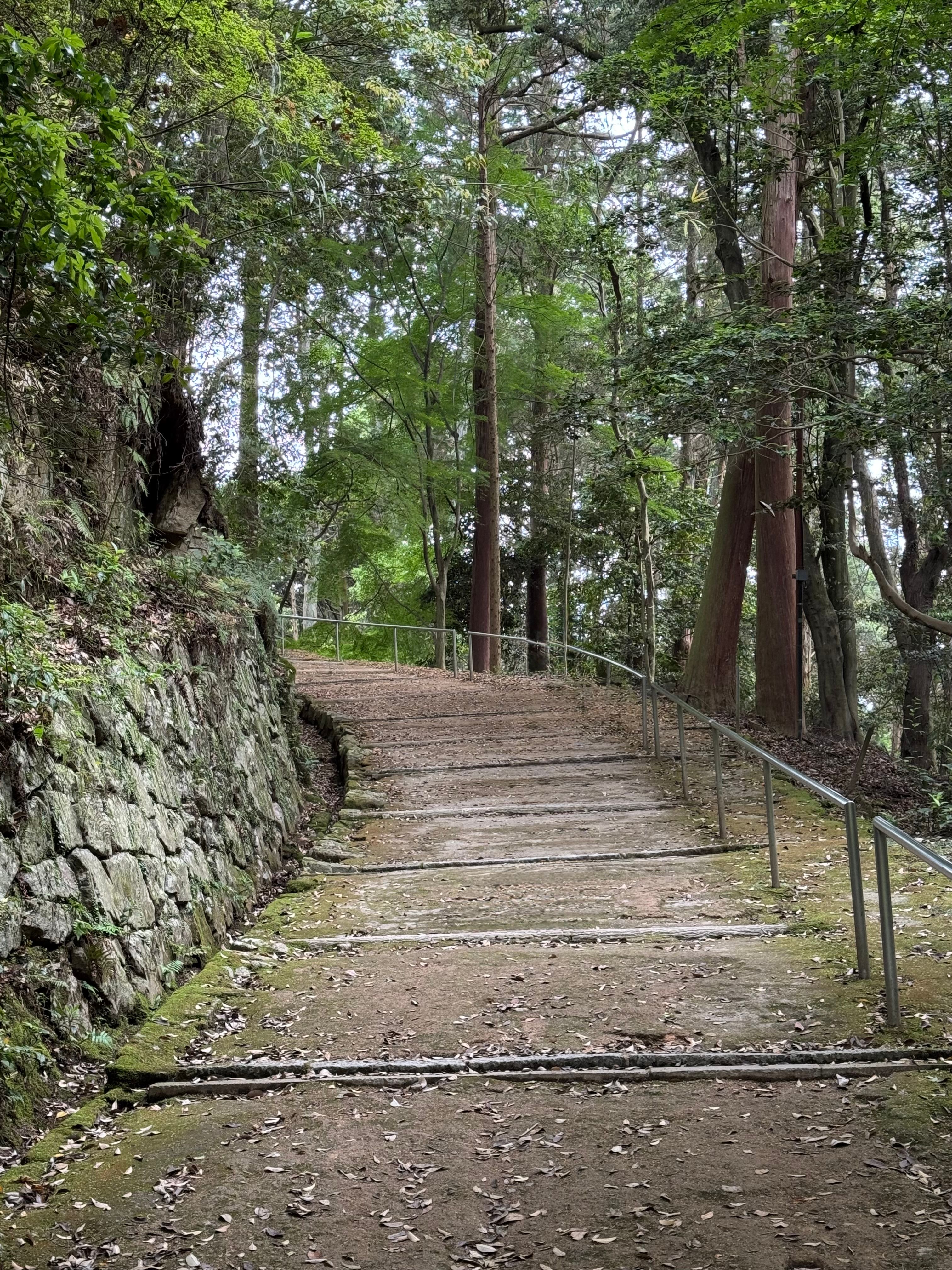由山上站步行一公里山路至摩尼殿，需時約20分鐘，沿路可細意感受書寫山的獨特魅力。.jpg