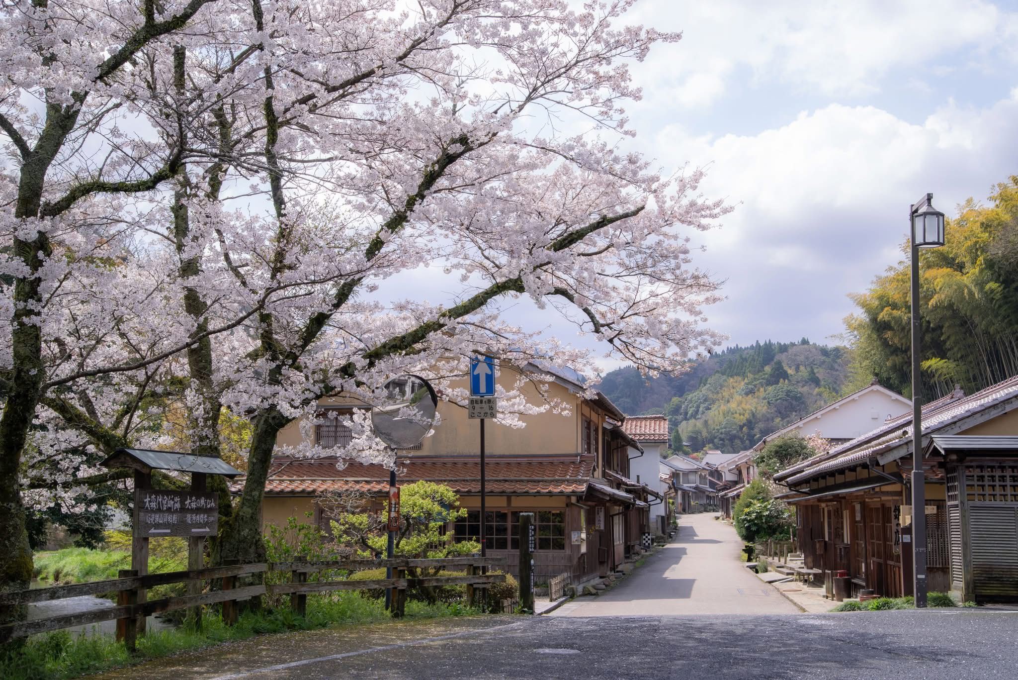 石見銀山2.jpg