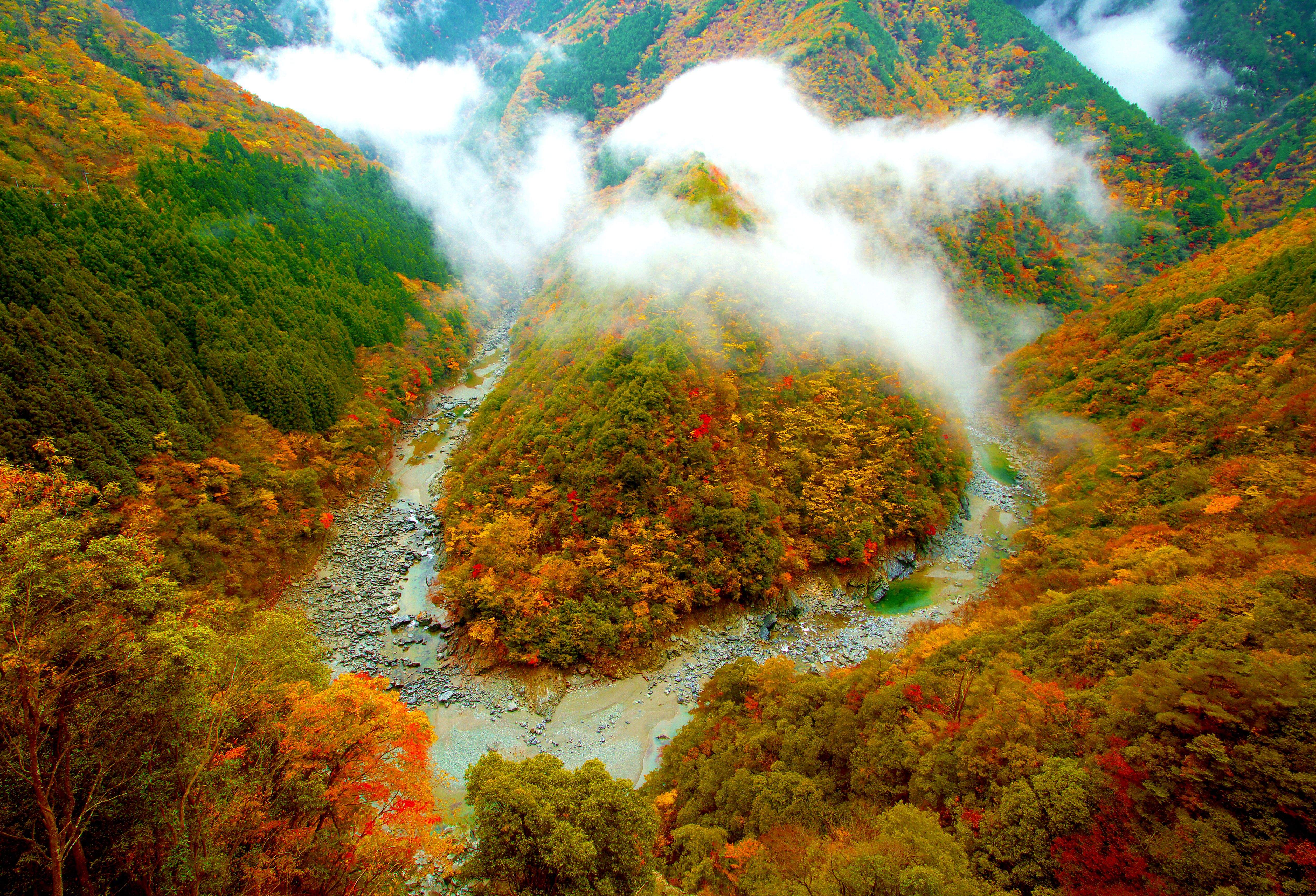 祖谷溪四季各有不同的風貌。（ 圖片來源：徳島県・徳島県観光協会）2.jpg