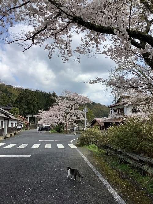 石見銀山4.jpg