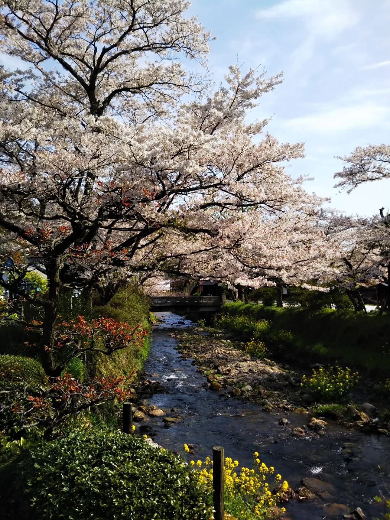 石見銀山5.jpg