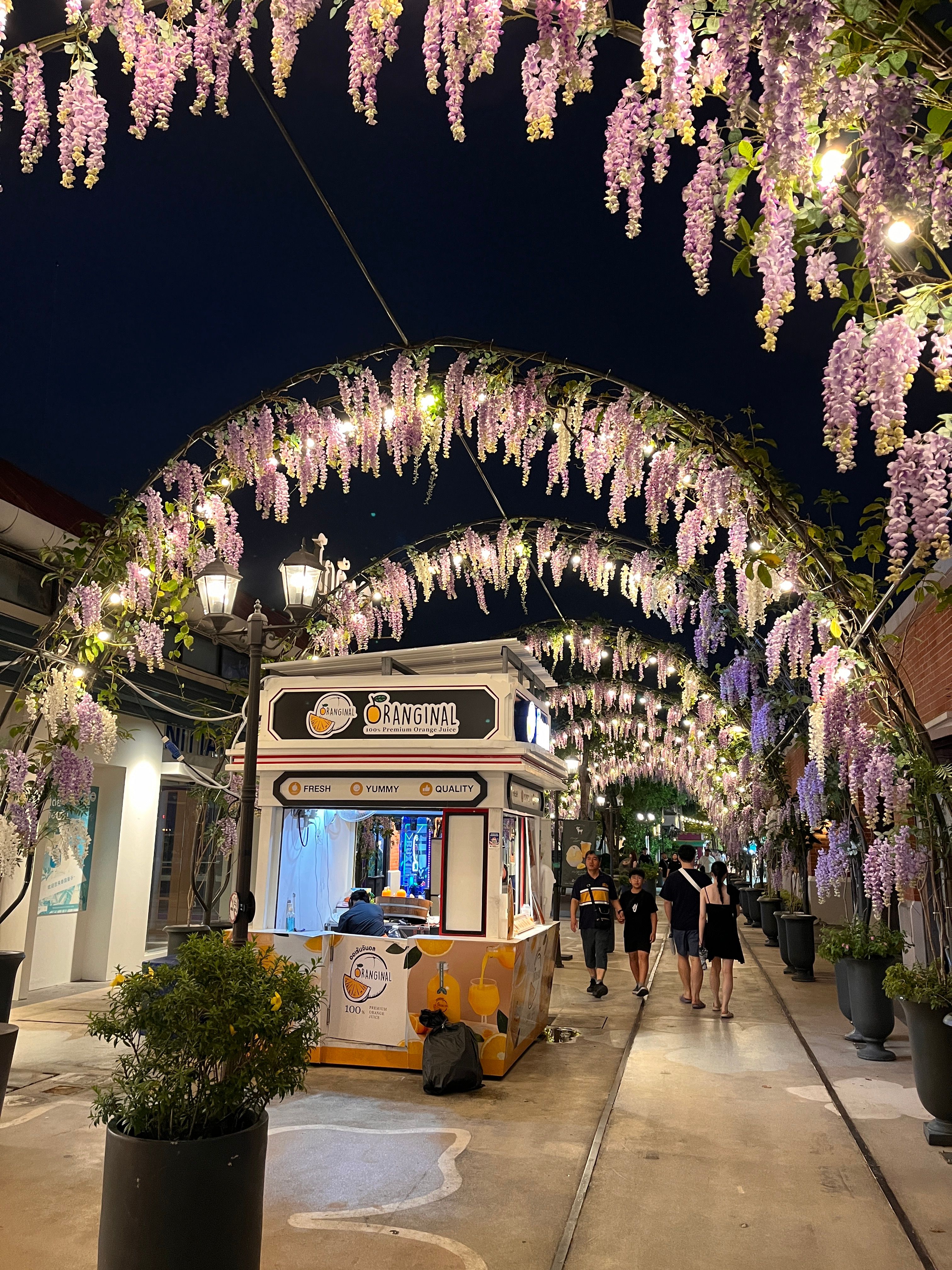 Asiatique 040.JPG