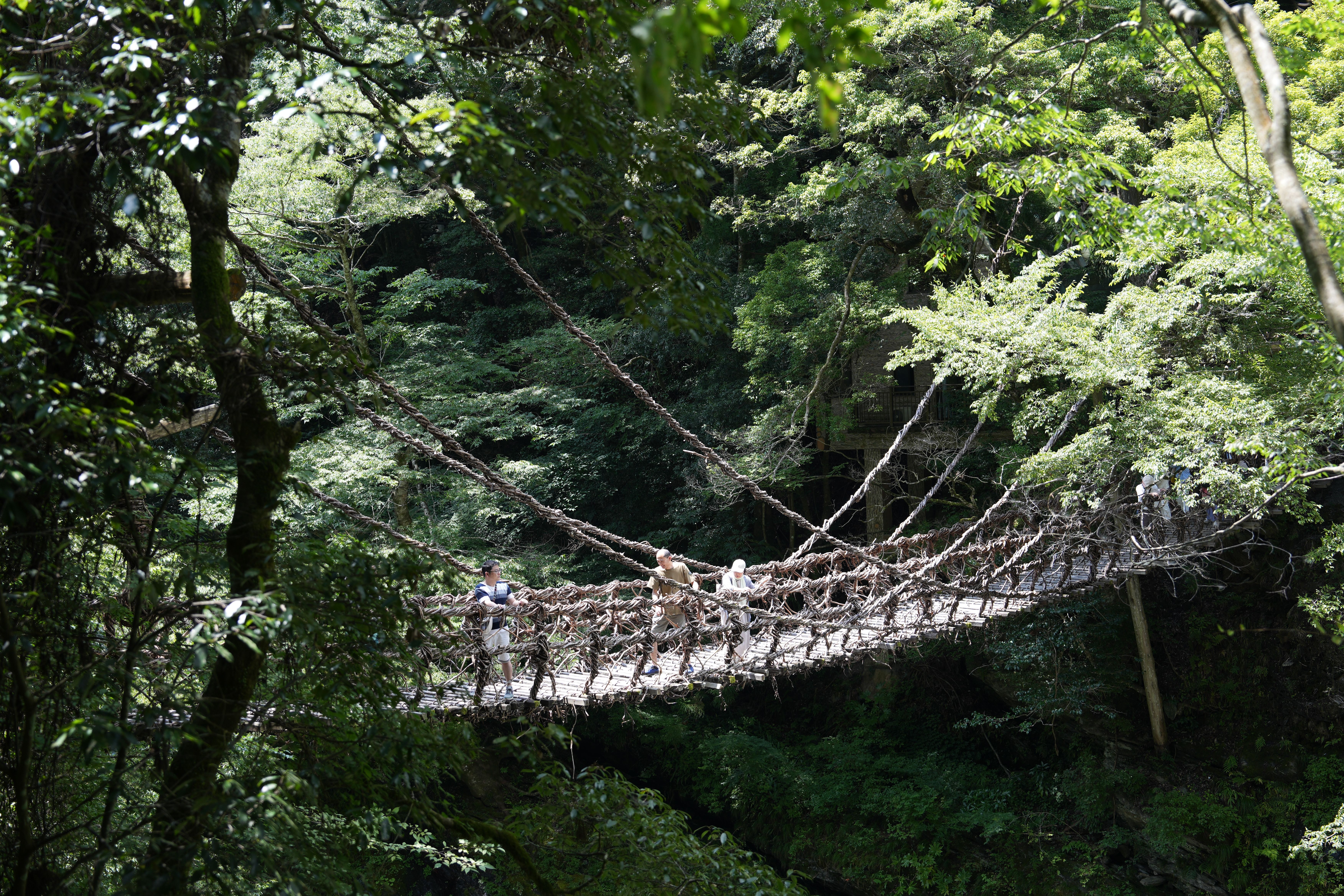 DSC05917橫跨祖谷溪的祖谷蔓橋位於山谷中央。.JPG