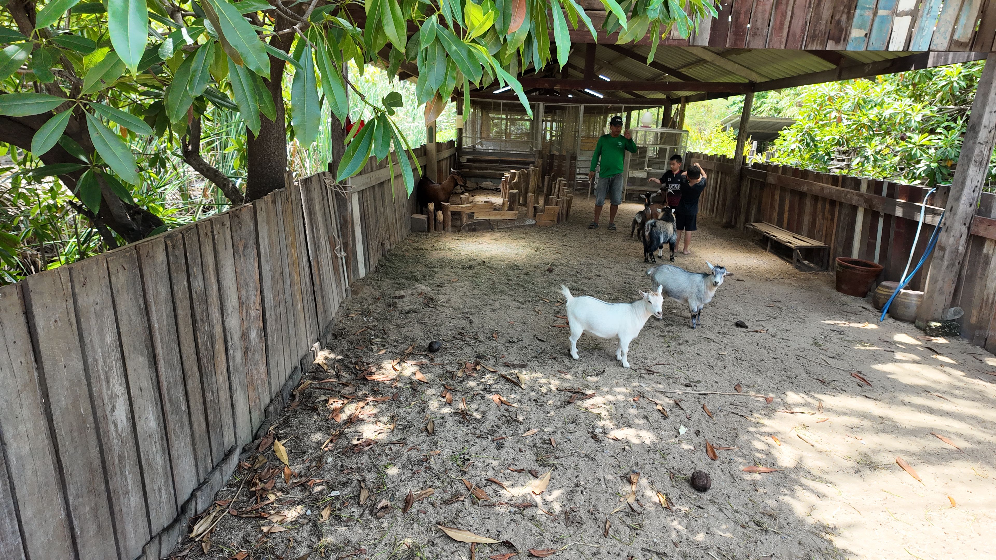 FARM 008.JPG
