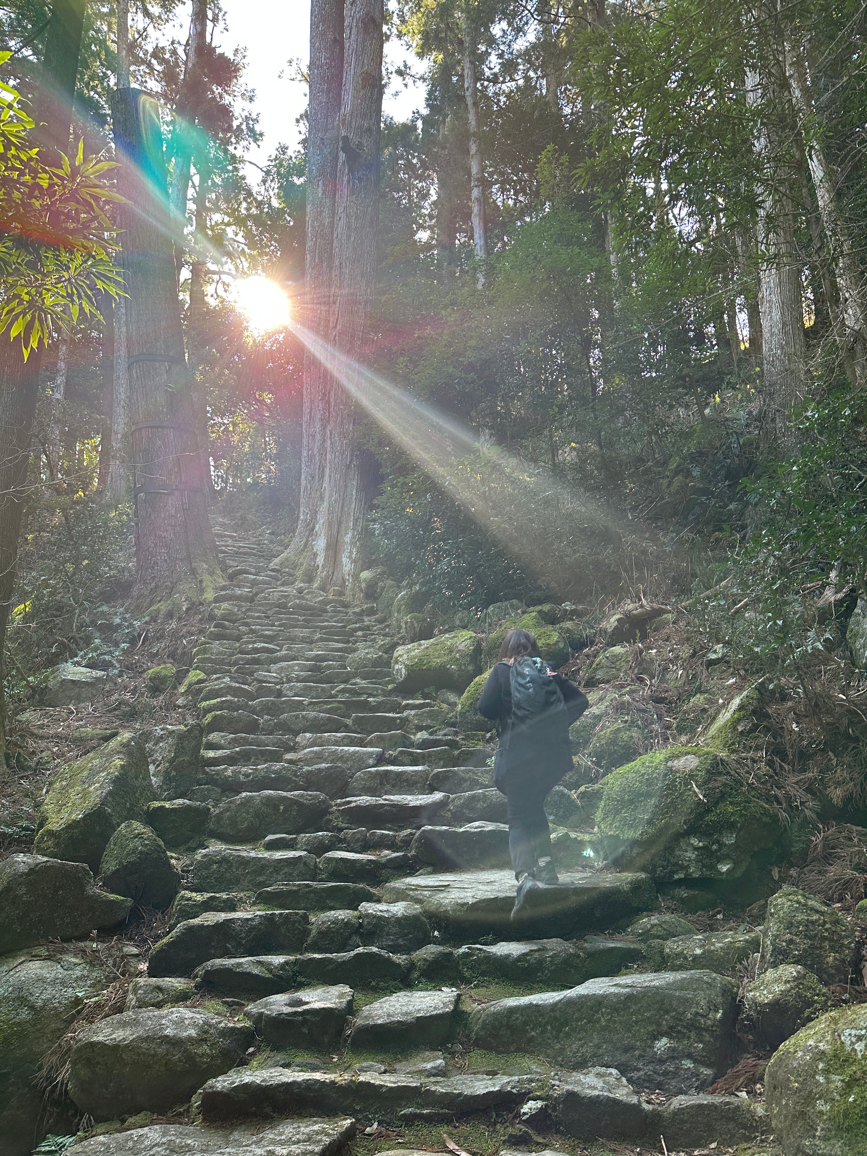 IMG_7543在唯二的世界遺產古道中，熊野古道象徵東方神佛信仰的體現。.JPG