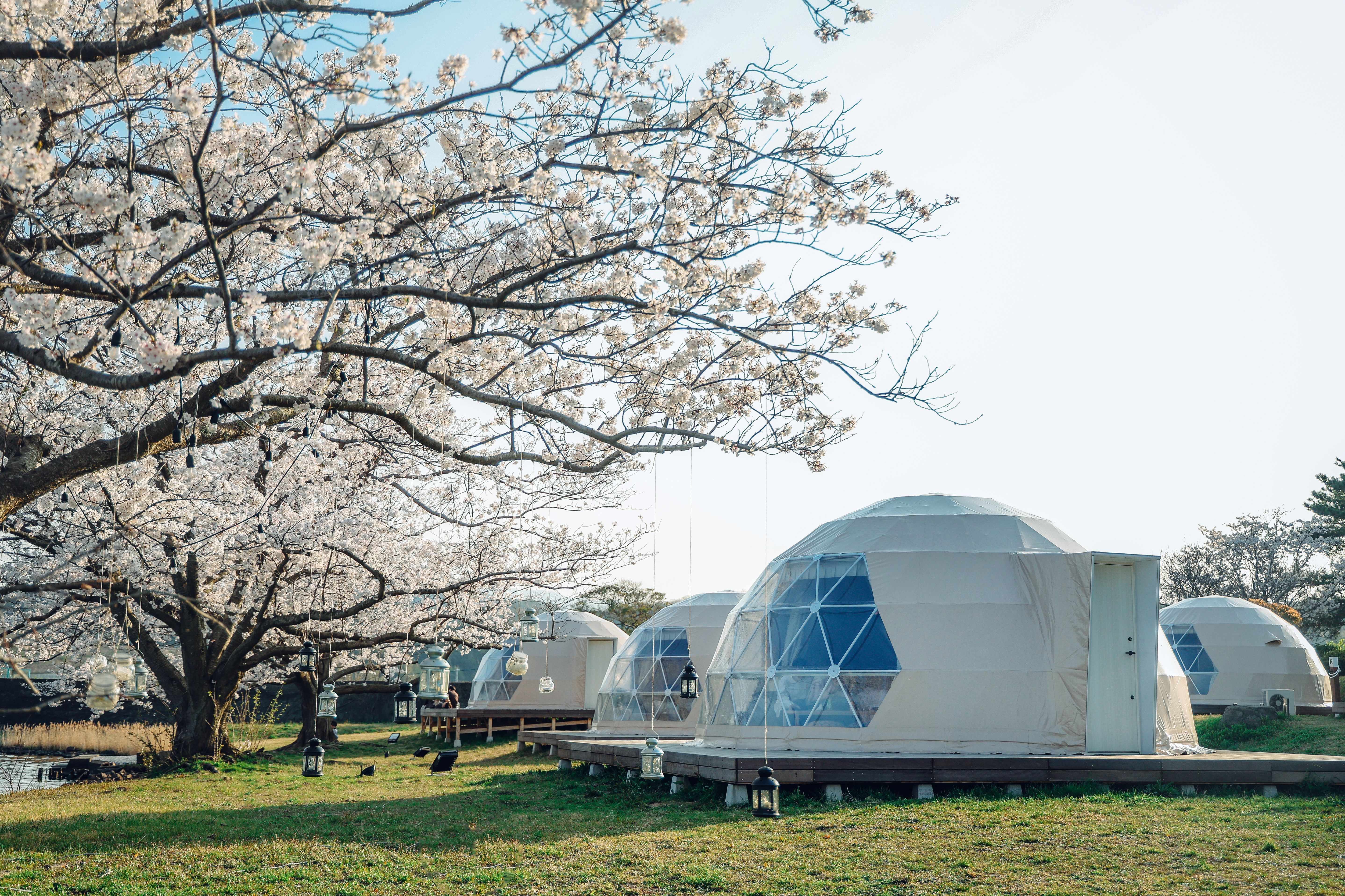 Island Glamping Earth Stay Aoshima營地設有六個湖景半透明圓頂帳篷，每個可供2-6人入住。.jpg