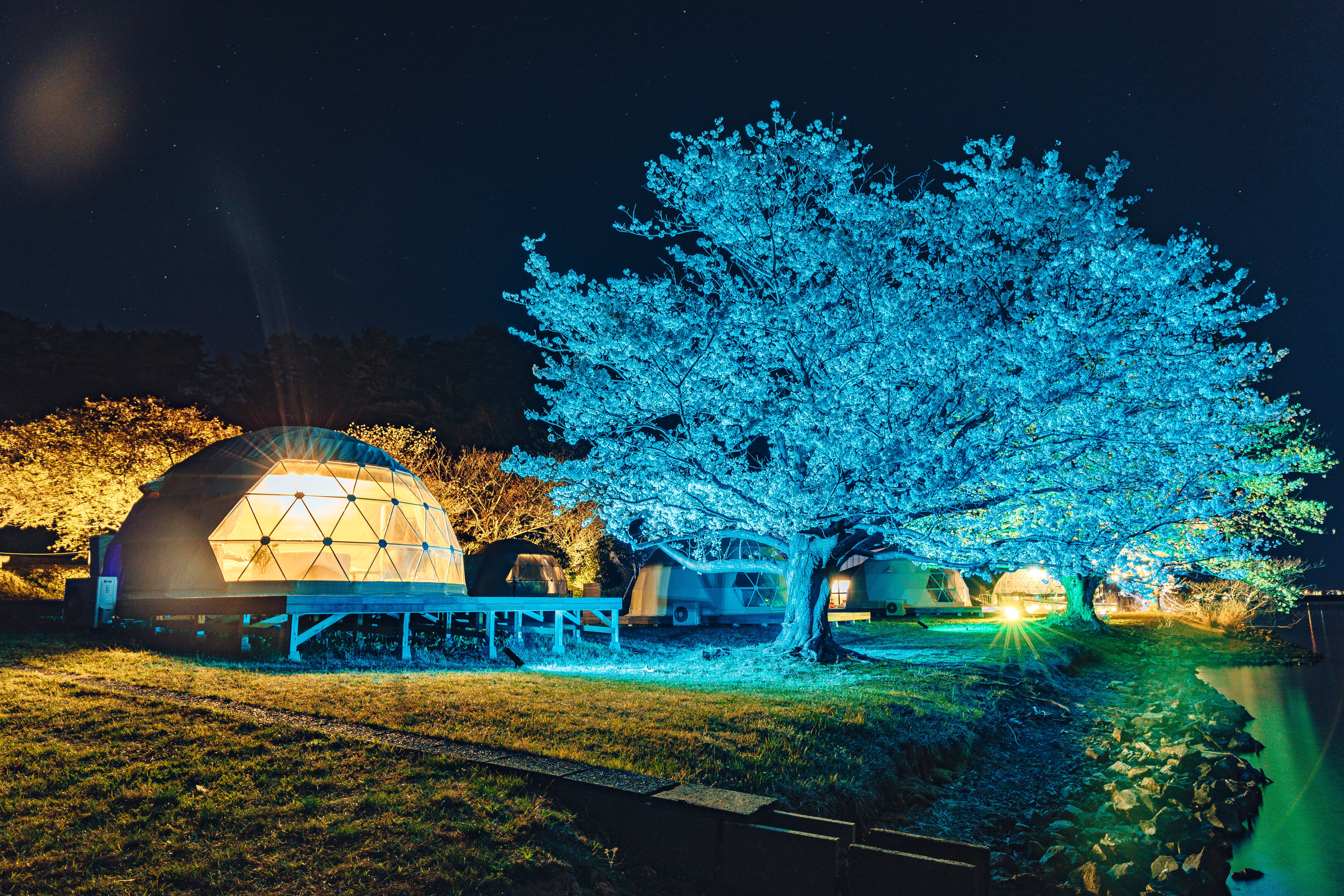 Island Glamping Earth Stay Aoshima晚上會有亮燈，春季夜櫻時特別漂亮。.jpg