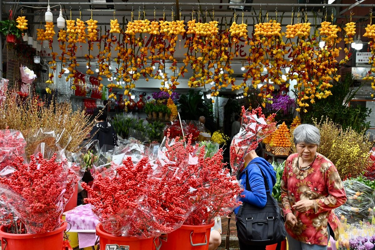 J新年花墟_香港政府新聞處.JPG