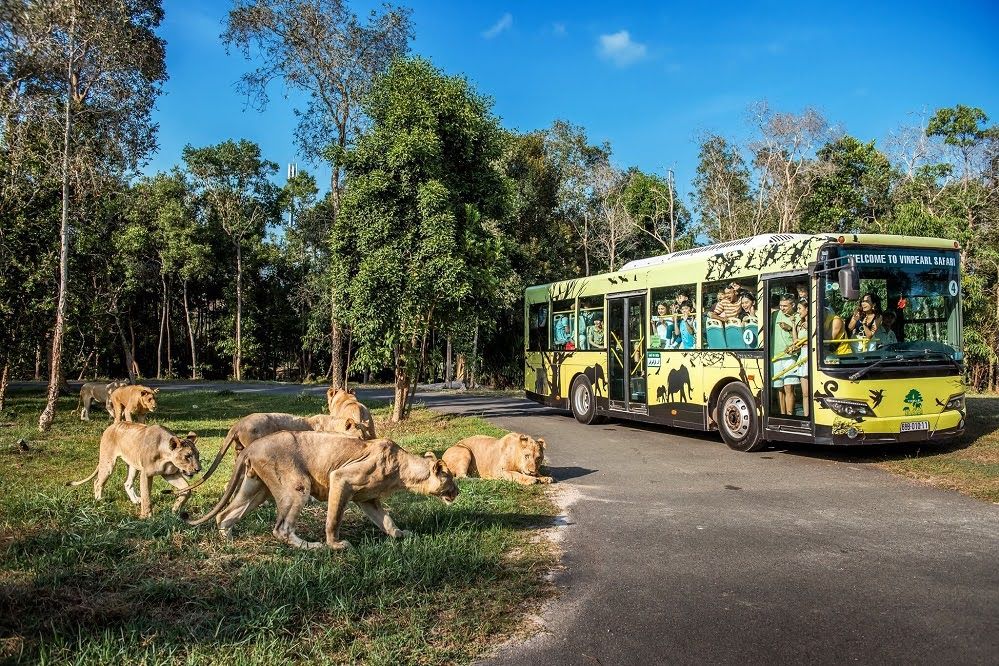 Safari-PHU-QUOC-VinWonders.jpg