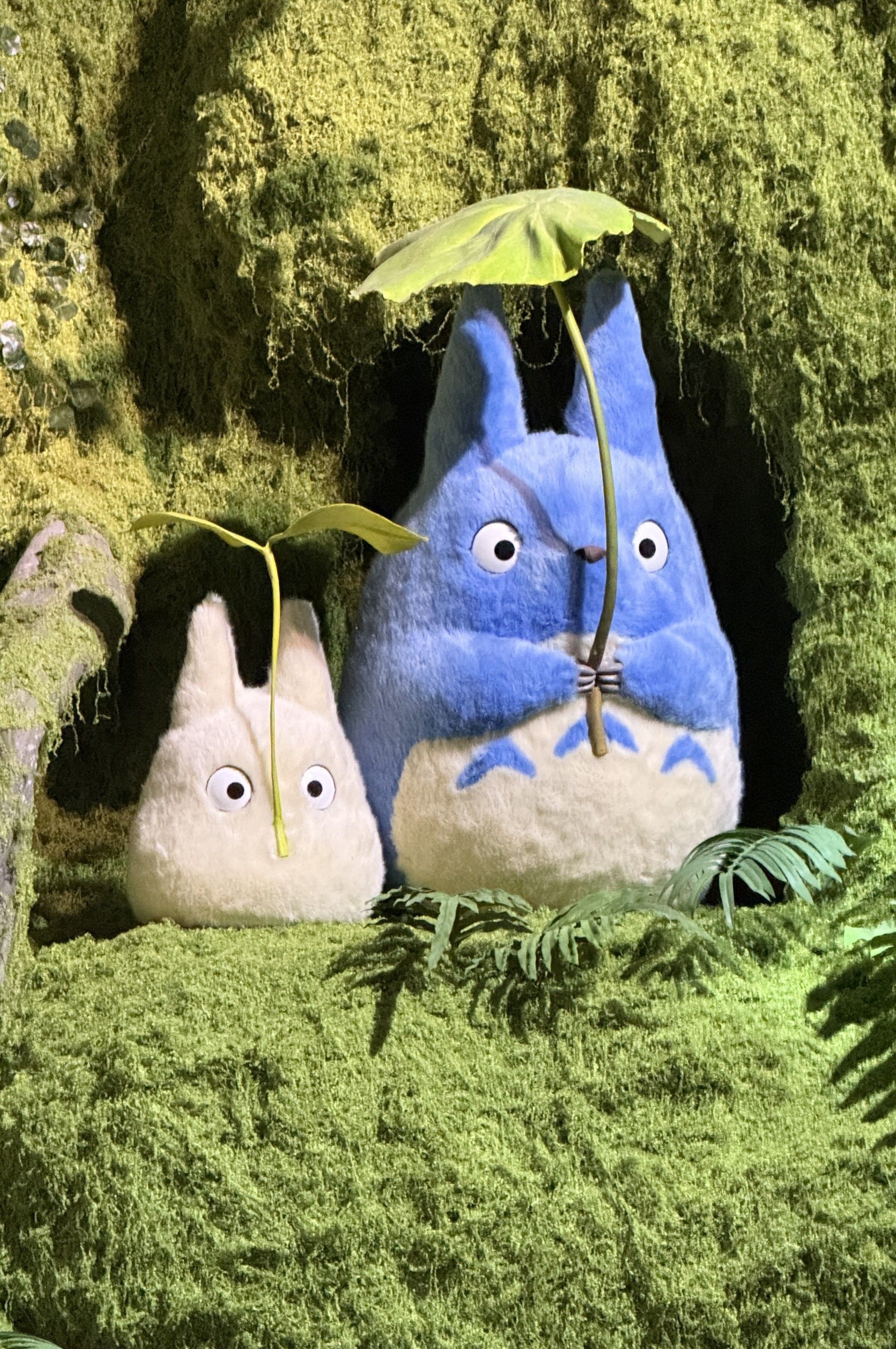 可愛的大小Totoro.jpg