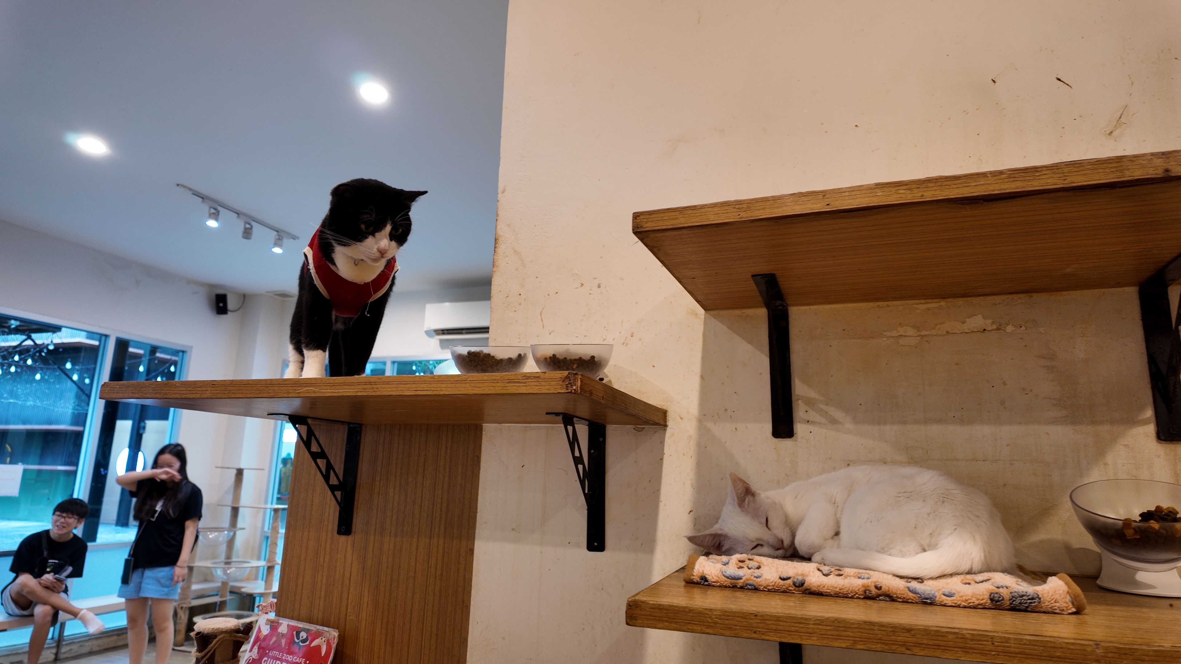 ZooCafe 024.JPG