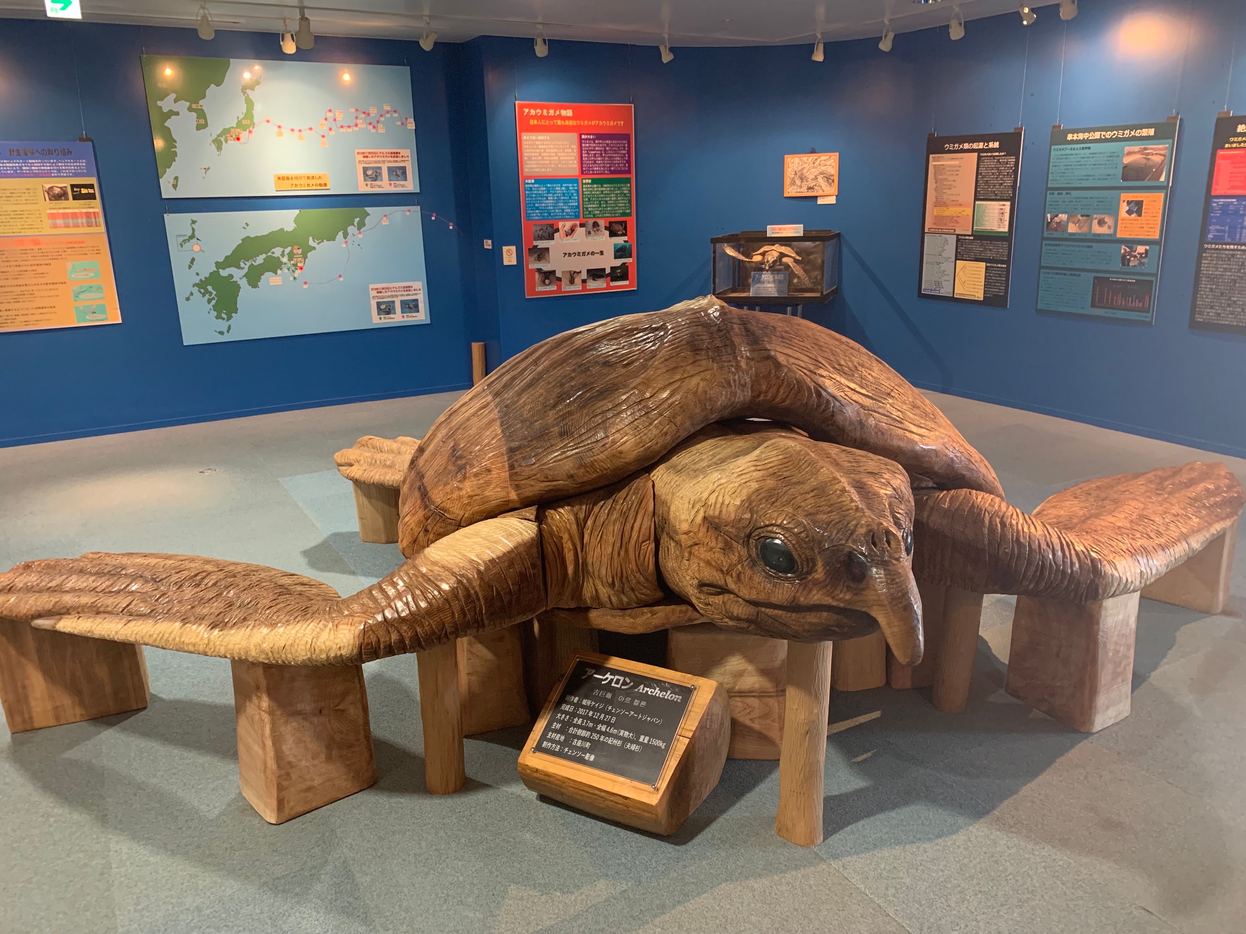 水族館內詳細介紹海龜的生態。.jpg