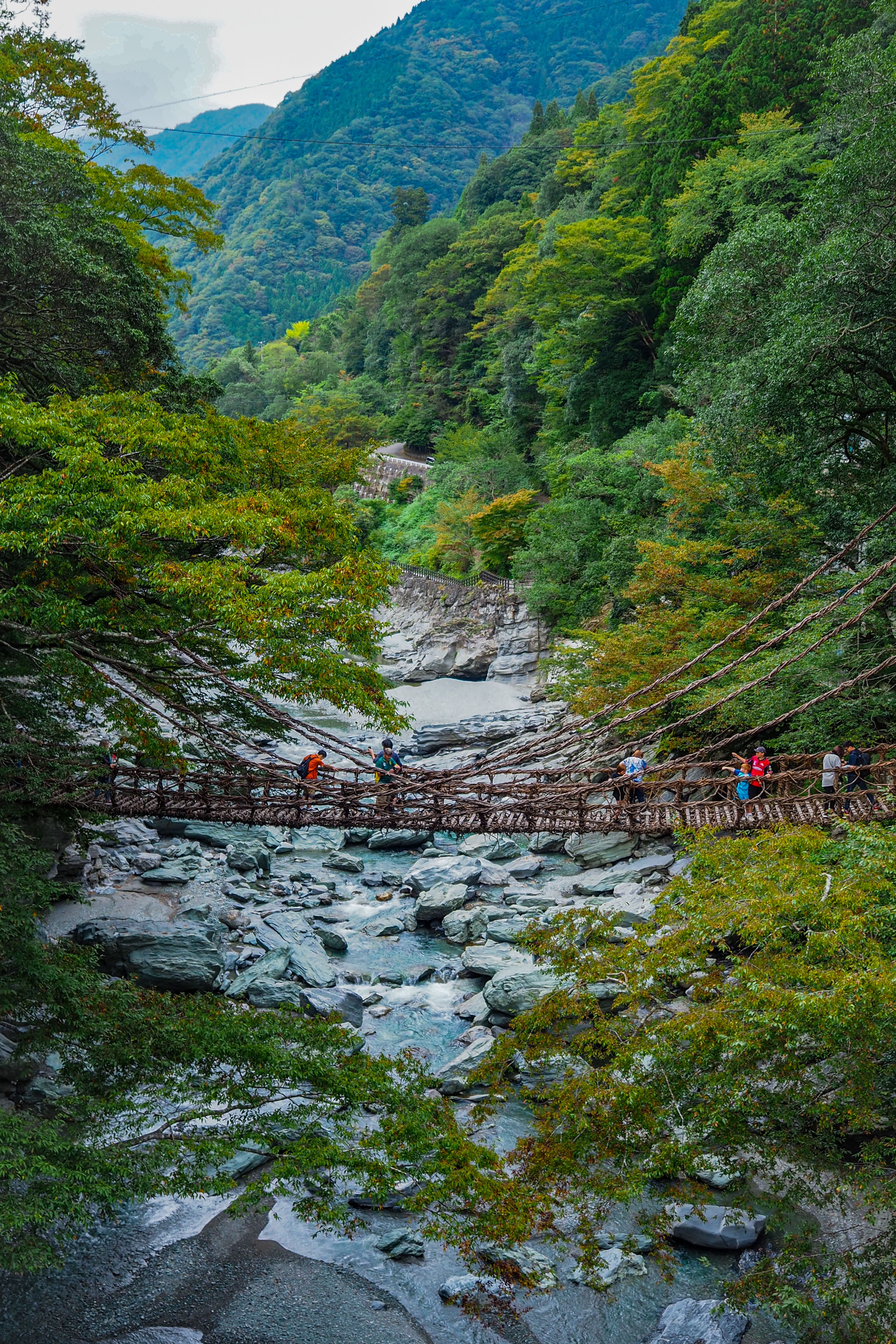 相傳屋島合戰大敗的平家落難武士逃到祖谷，特地在溪上搭建可迅速破壞的蔓橋，以逃避追兵。.JPG