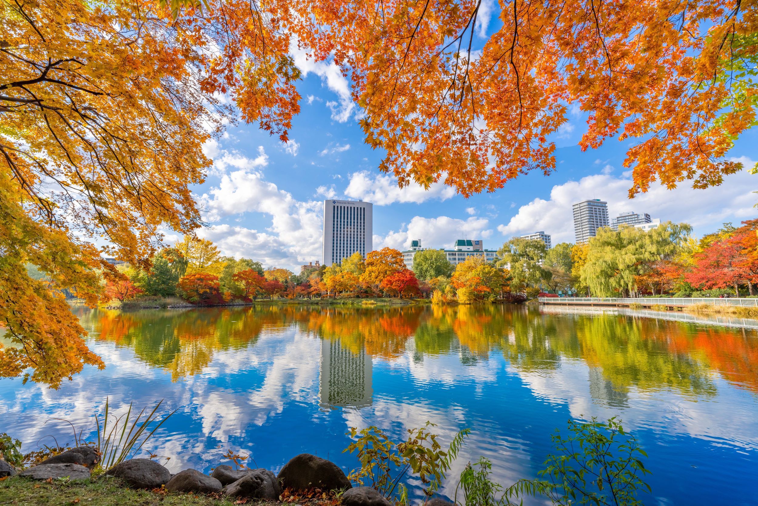 秋天的中島公園添上紅色及金黃的色彩。(官網相片).jpg