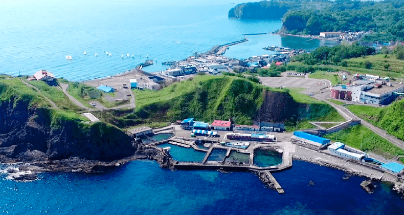 小樽水族館直接在大海圍出海獸公園範圍，讓海獅和海豹在最接近自然的狀態下生活。(官網相片).png