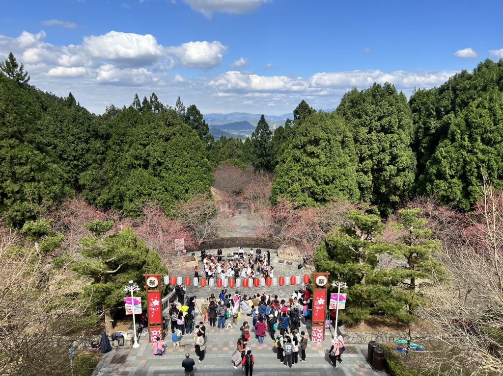 現場設有日式賞櫻祭典，主打日本花祭的熱鬧氣氛（官網圖片）.jpg