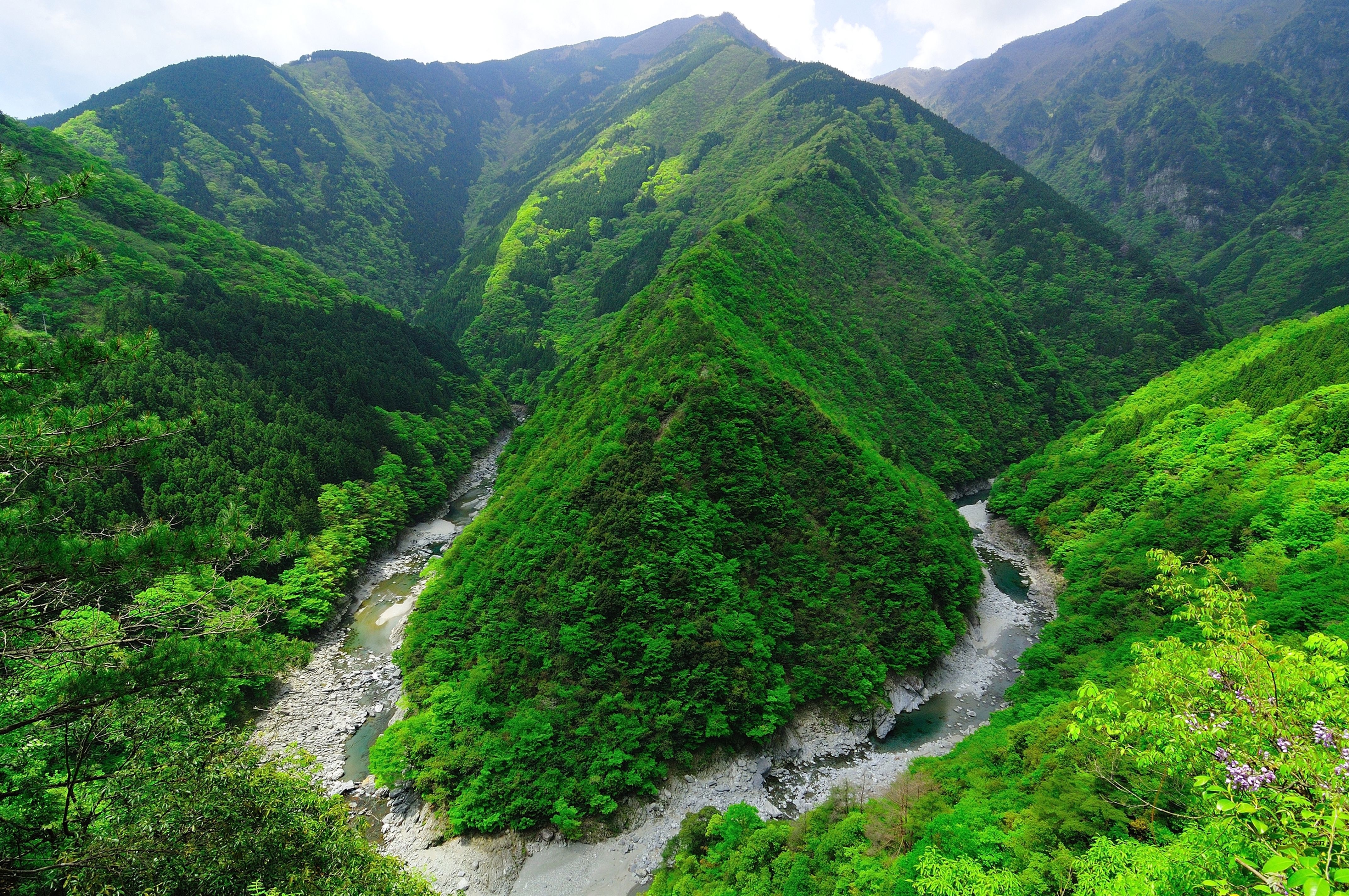 祖谷溪四季各有不同的風貌。（ 圖片來源：徳島県・徳島県観光協会）.jpeg