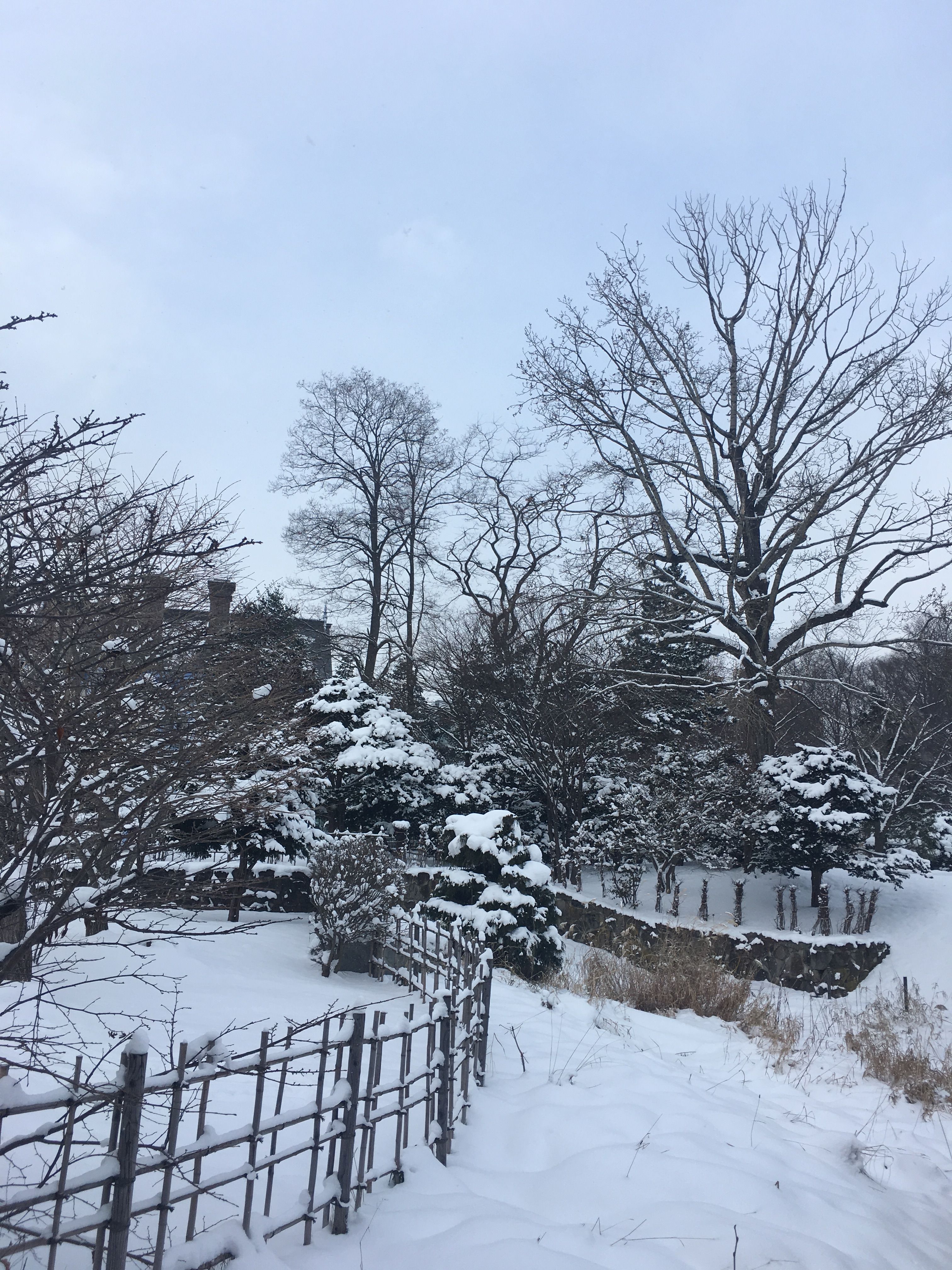 白雪為中島公園添上銀妝。.jpg