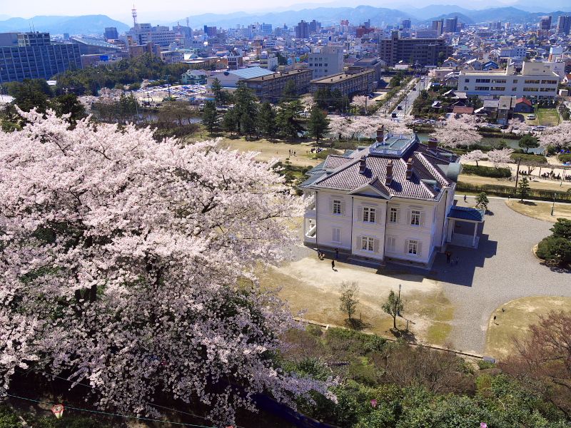 鳥取城跡・久松公園是當地有名的賞櫻名所。（圖片來源：©鳥取県）.jpg