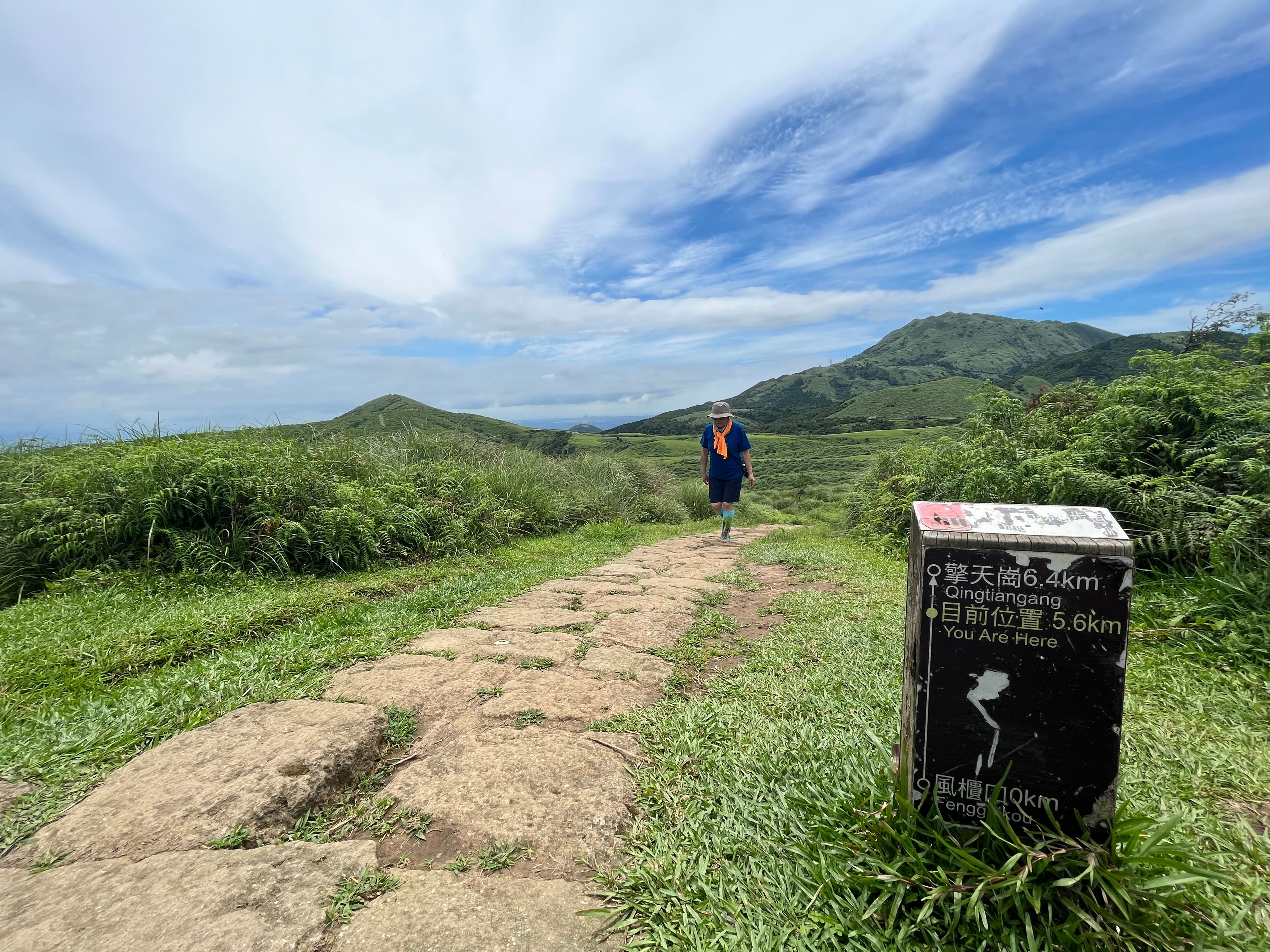 視野遼闊的擎天崗步道，道路平緩。.jpg