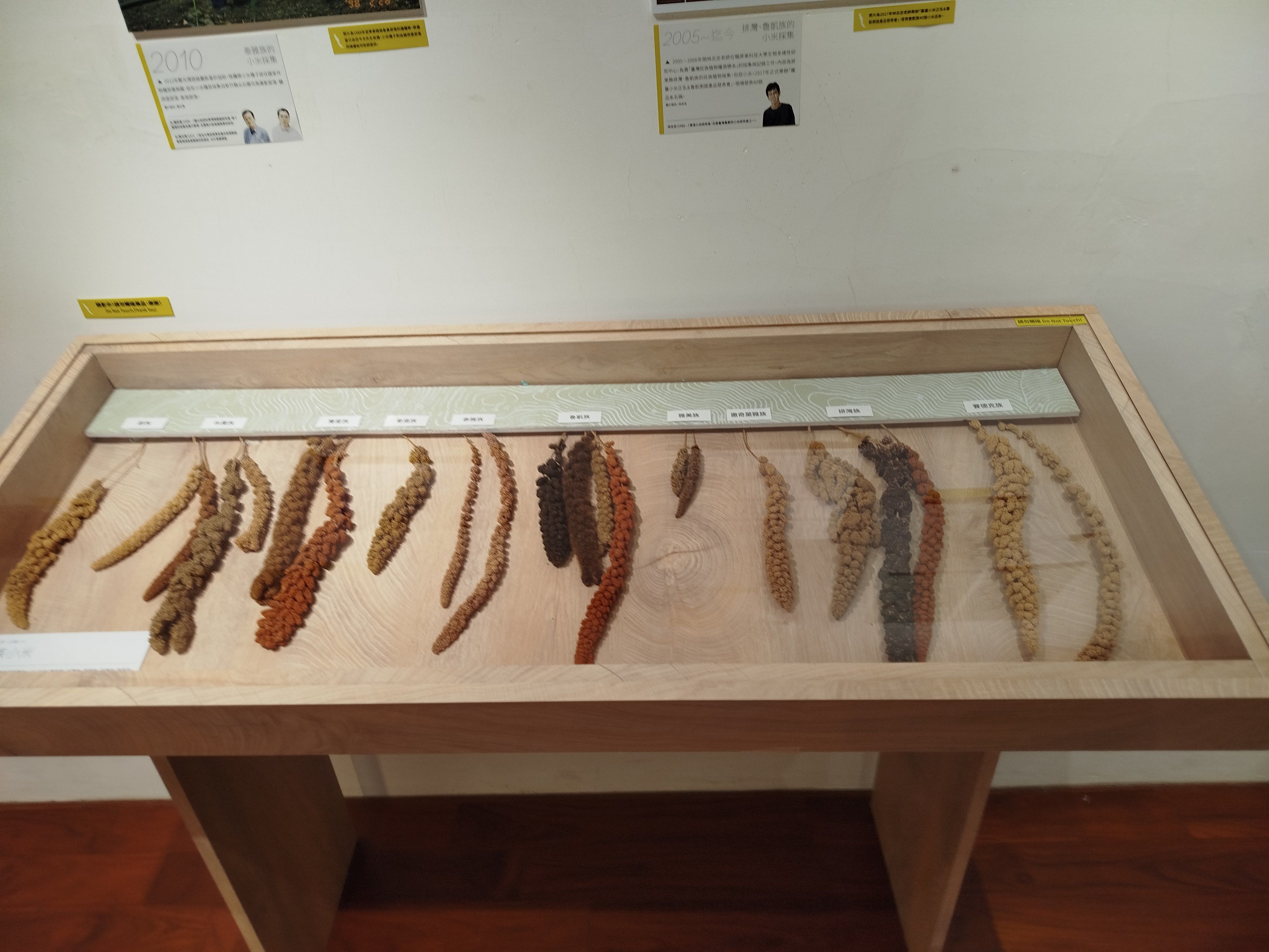 郭怡美書店不定期更換文化主題展覽，這期是介紹台灣原住民的小麥。.jpg