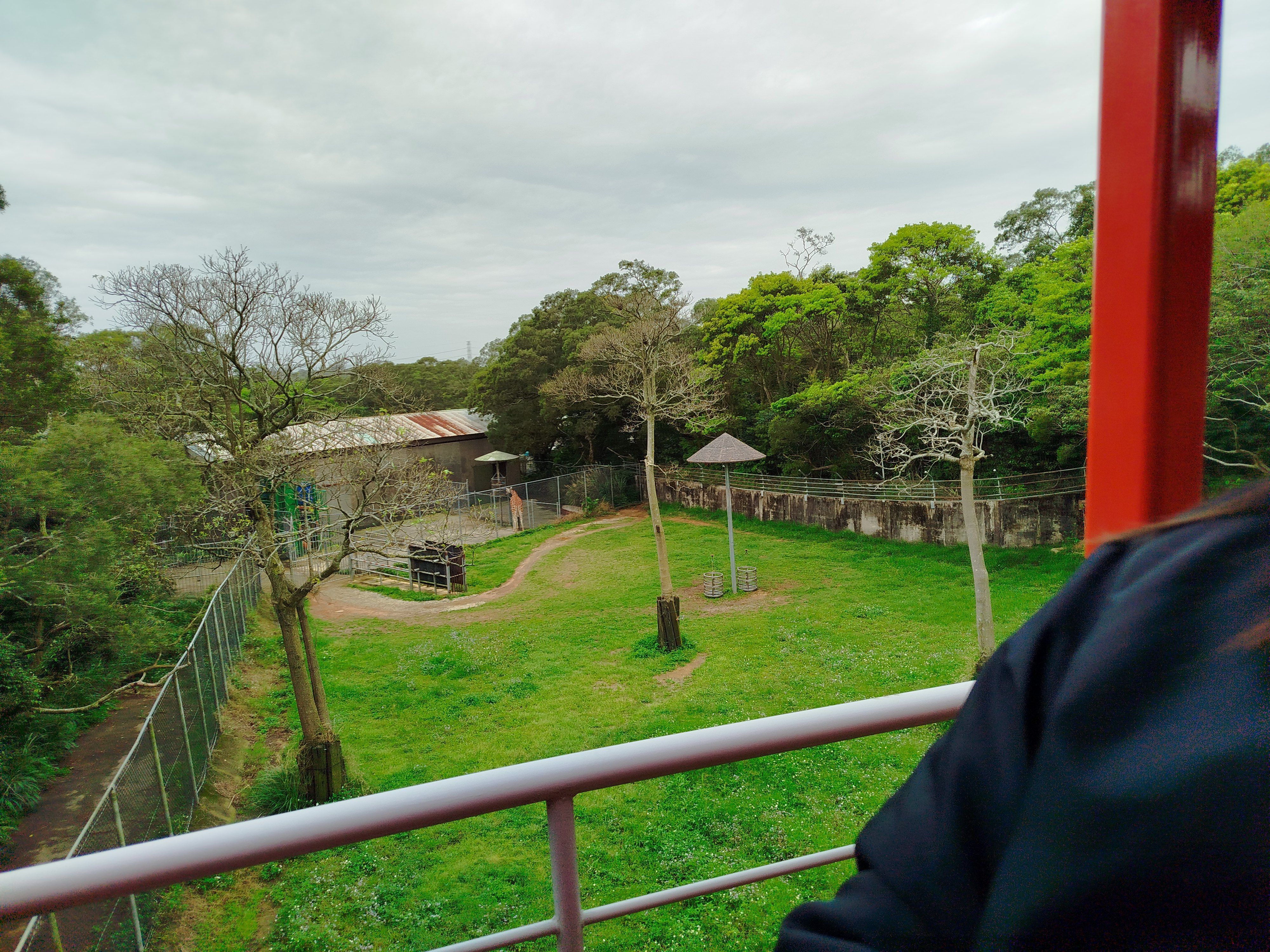 依動物習性劃分區域，讓動物有足夠空間活動與休息。.jpg